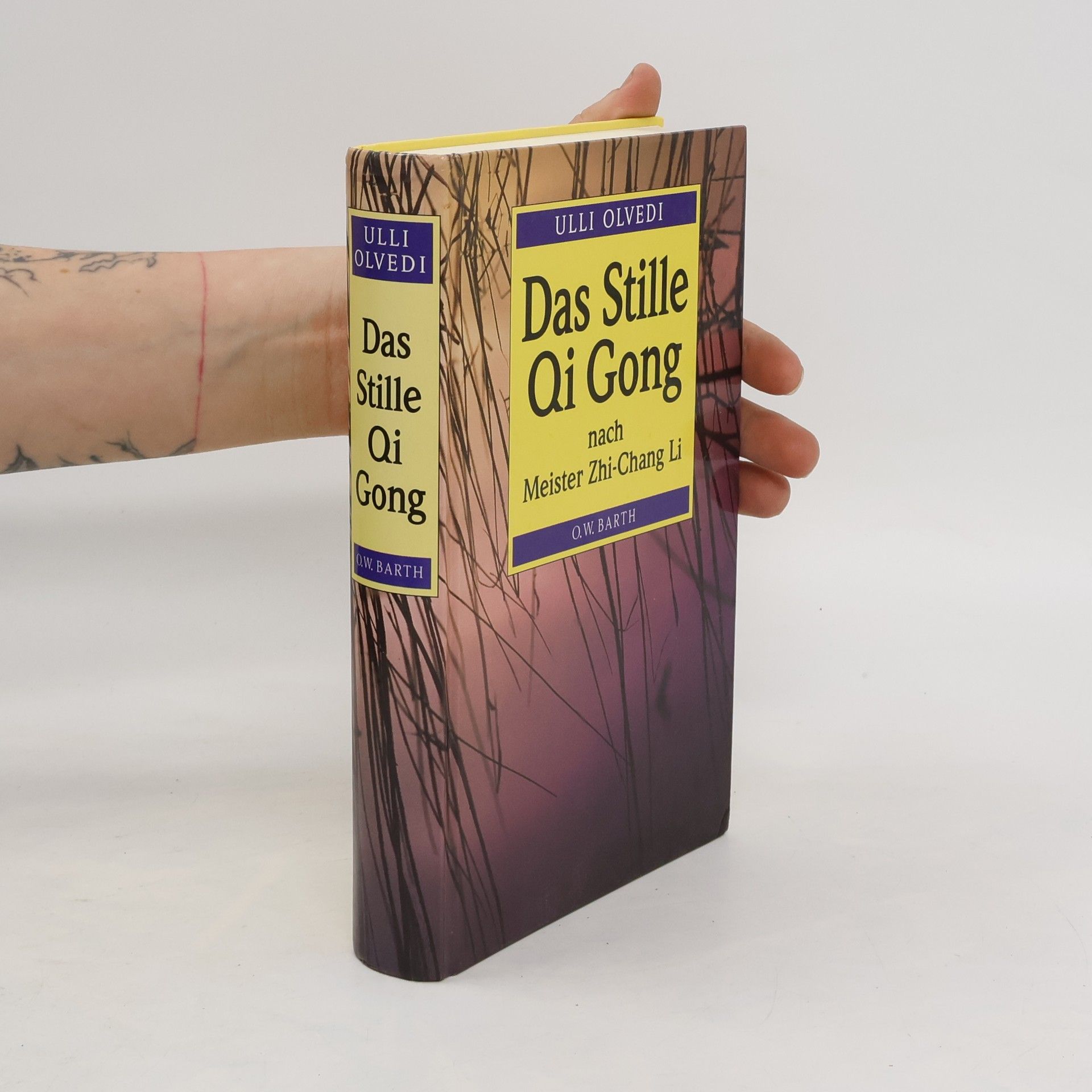 Ulli Olvedi Das Stille Qi Gong