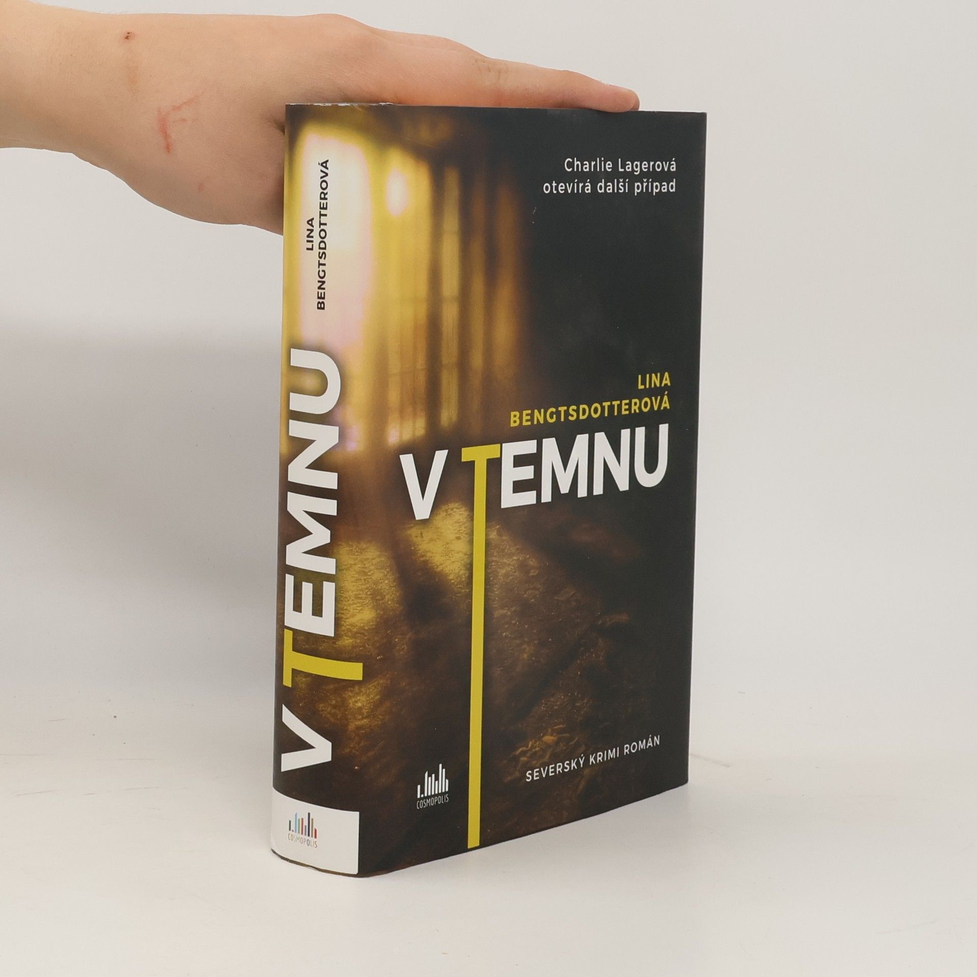 Lina Bengtsdotter V temnu