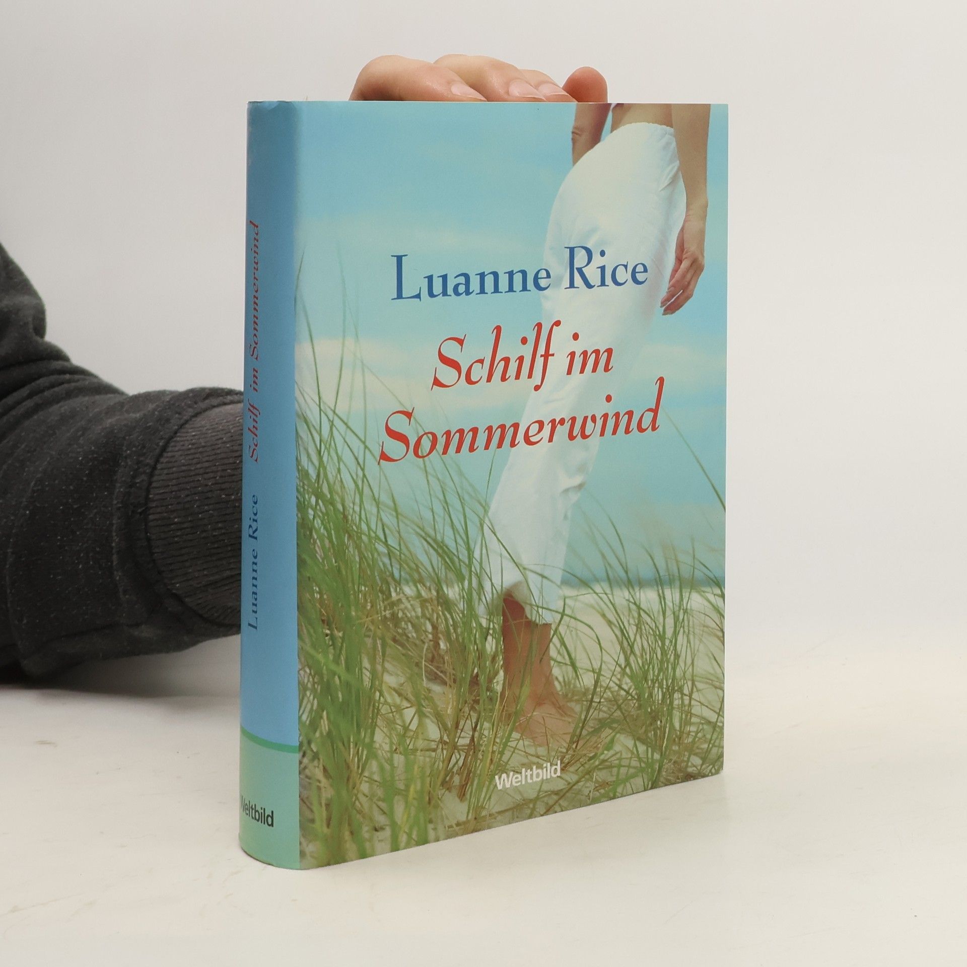 Luanne Rice Schilf im Sommerwind