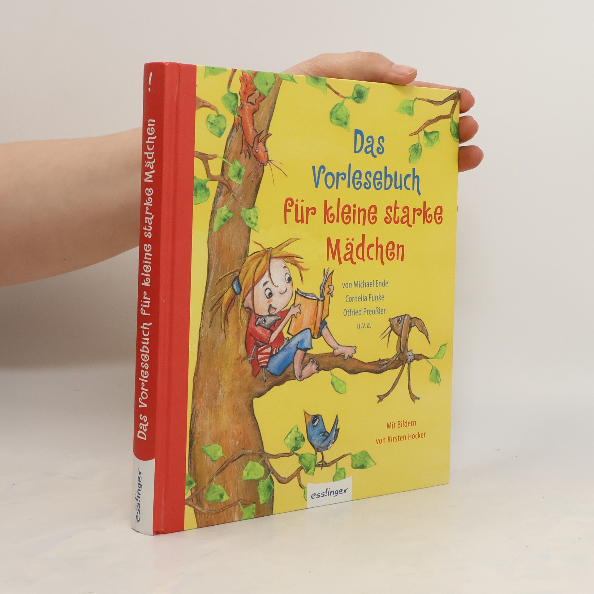 Kirsten Höcker Das Vorlesebuch für kleine starke Mädchen