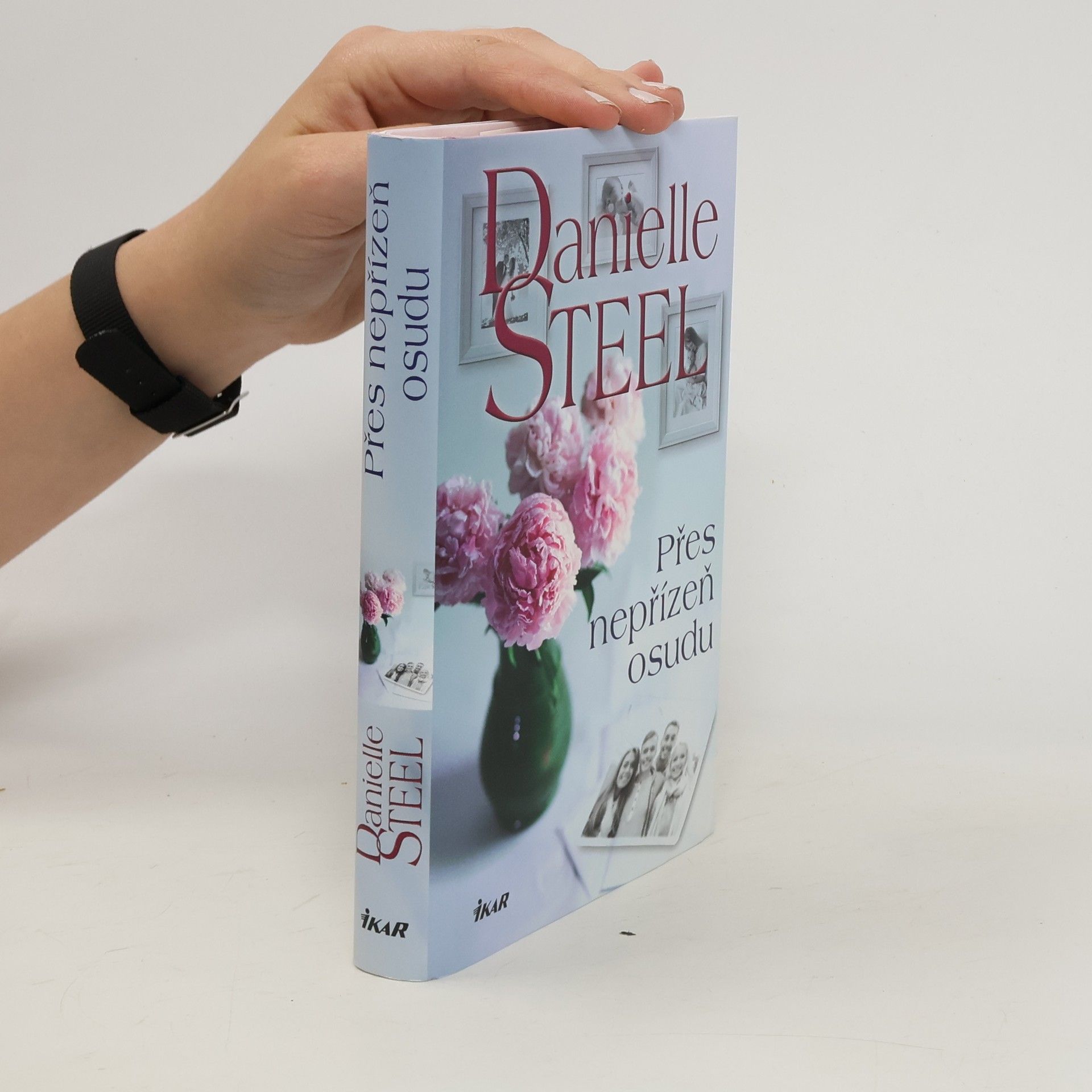 Danielle Steel Přes nepřízeň osudu
