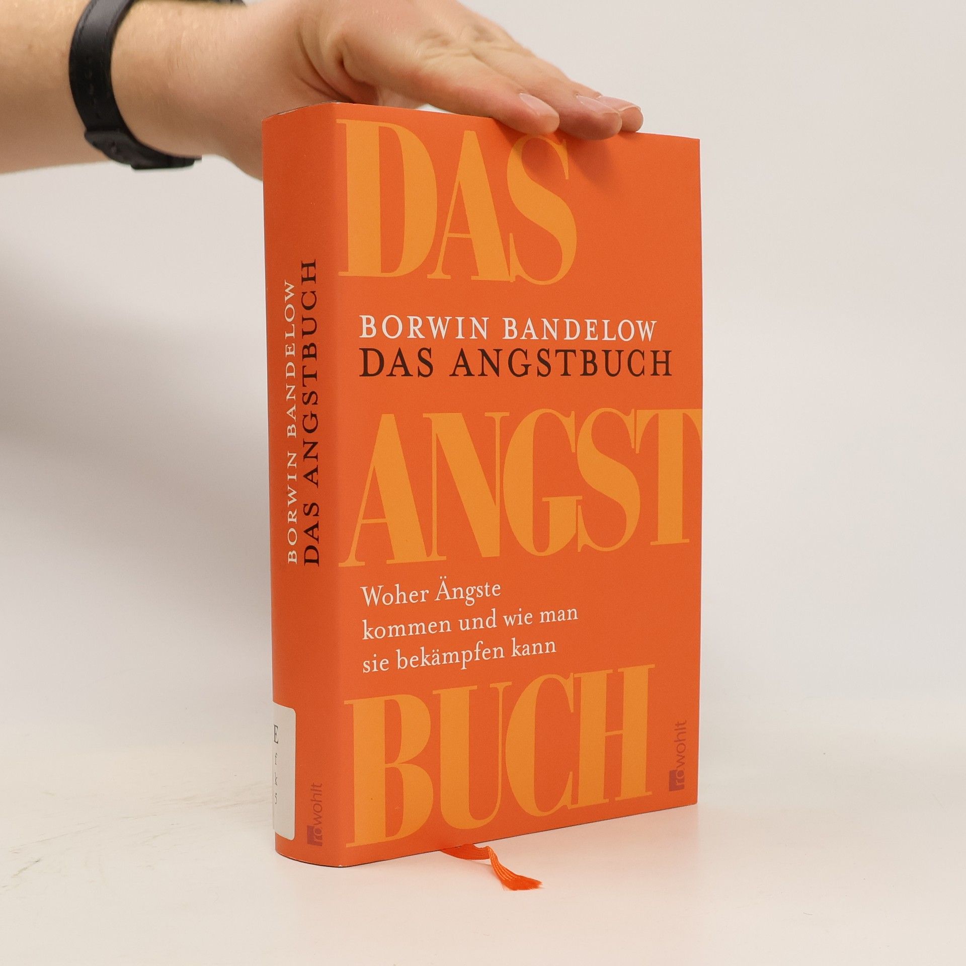 Borwin Bandelow Das Angstbuch