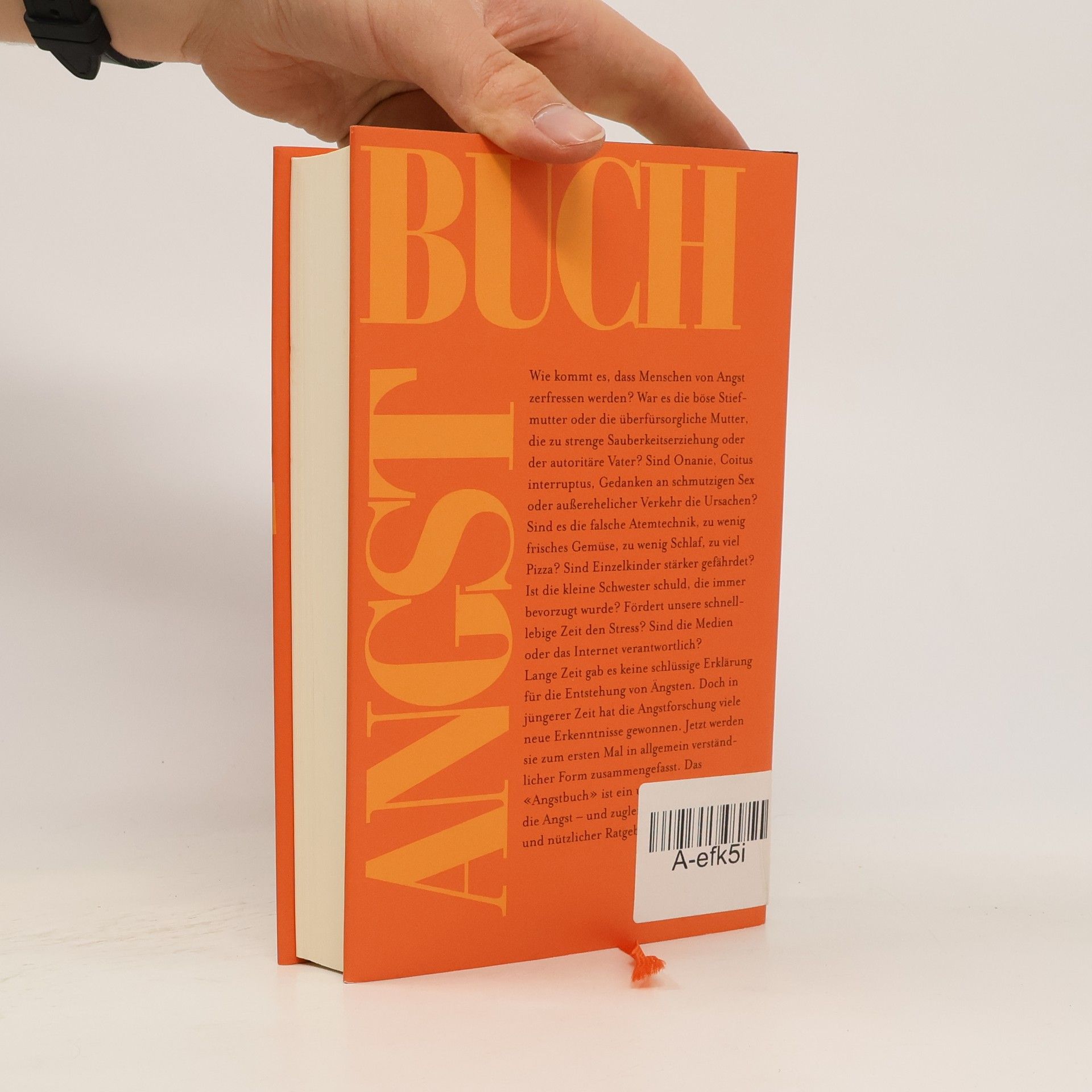 Borwin Bandelow Das Angstbuch