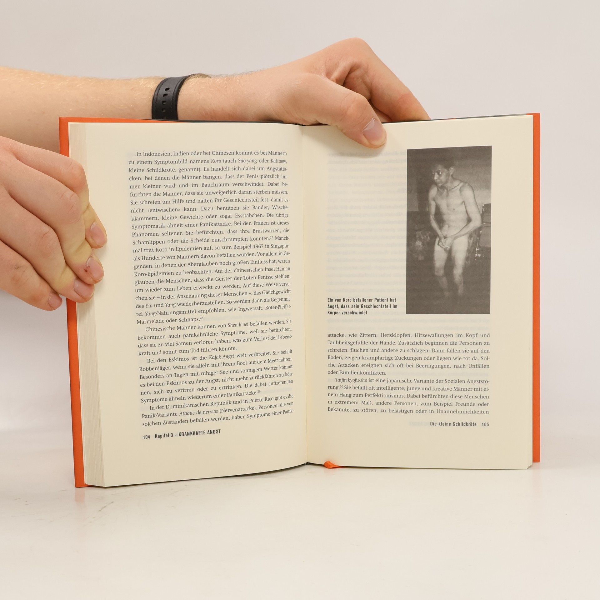 Borwin Bandelow Das Angstbuch