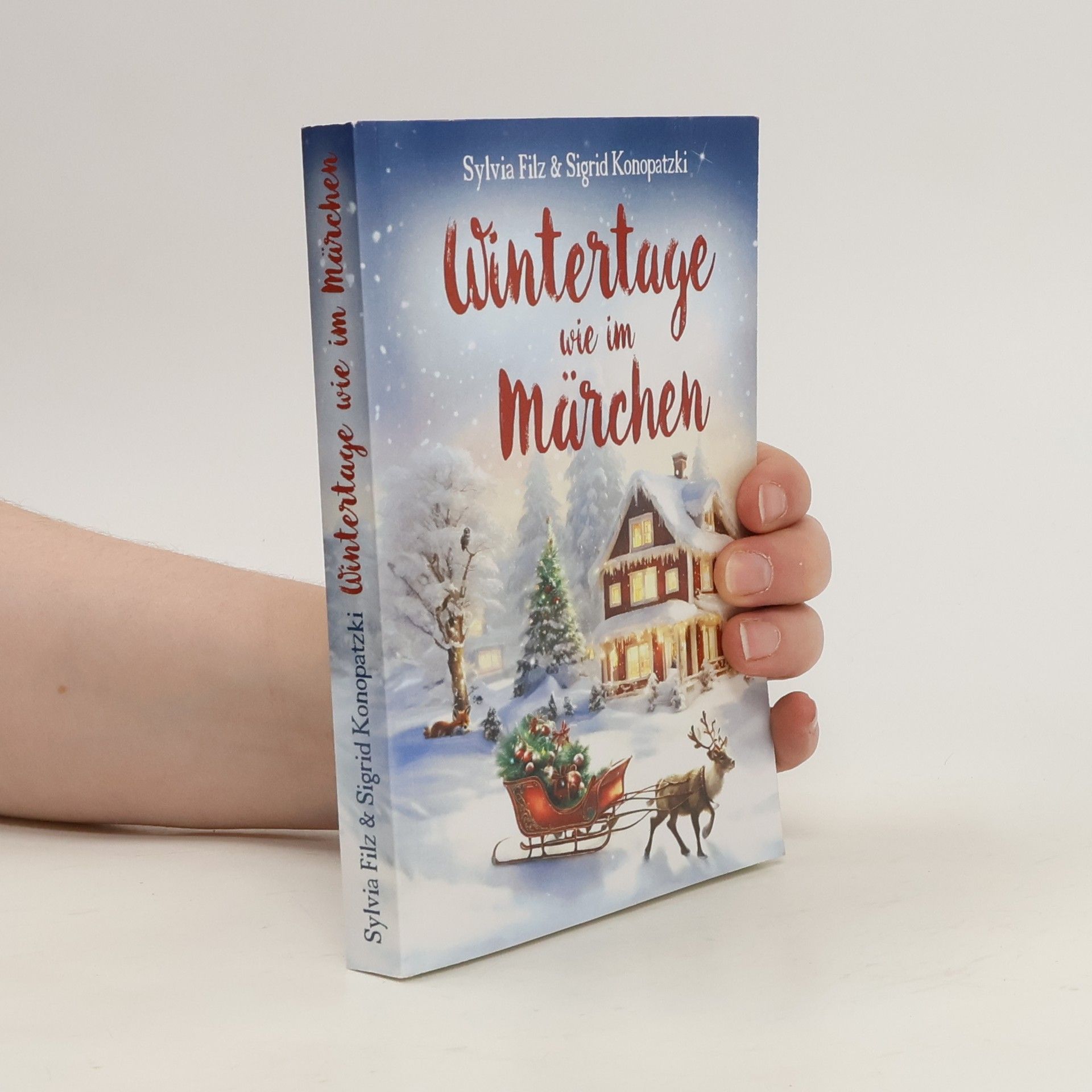 Sylvia Filz Wintertage wie im Märchen