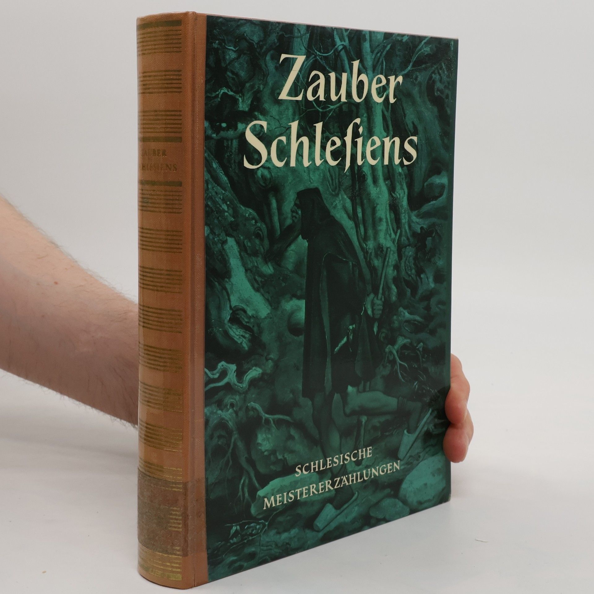 AA.VV. Zauber Schlesien