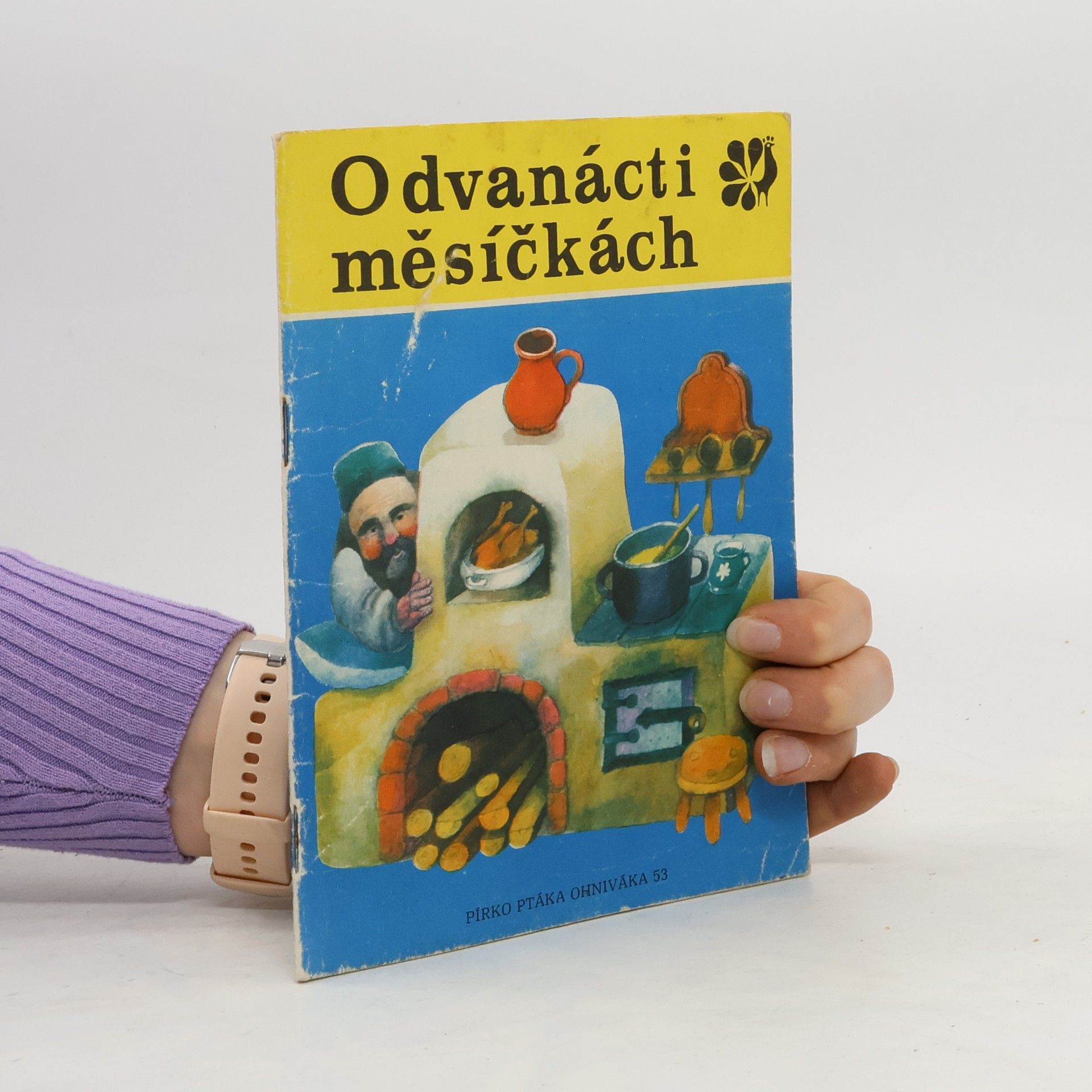 Collectif d'auteurs O dvanácti měsíčkách
