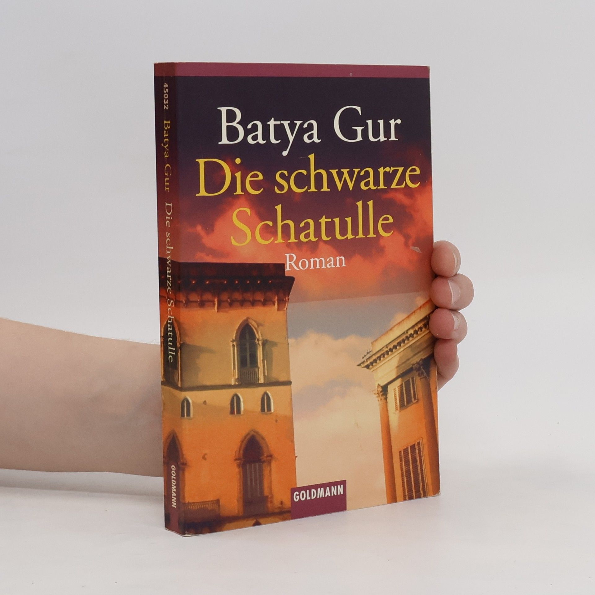 Batyah Gur Die schwarze Schatulle