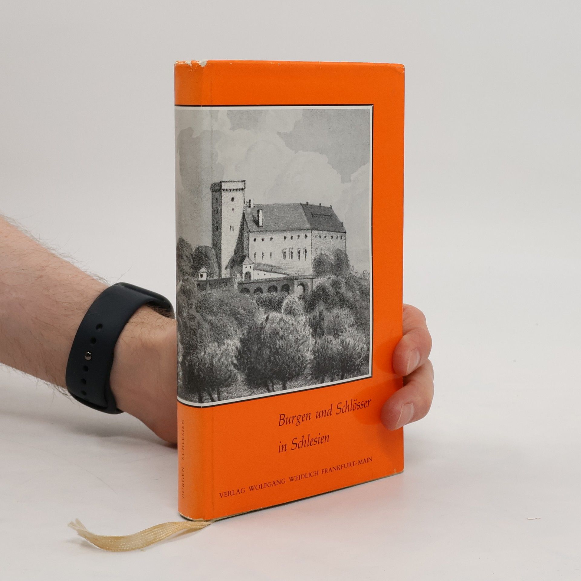 Autores varios Bergen und Schlösser in Schlesien