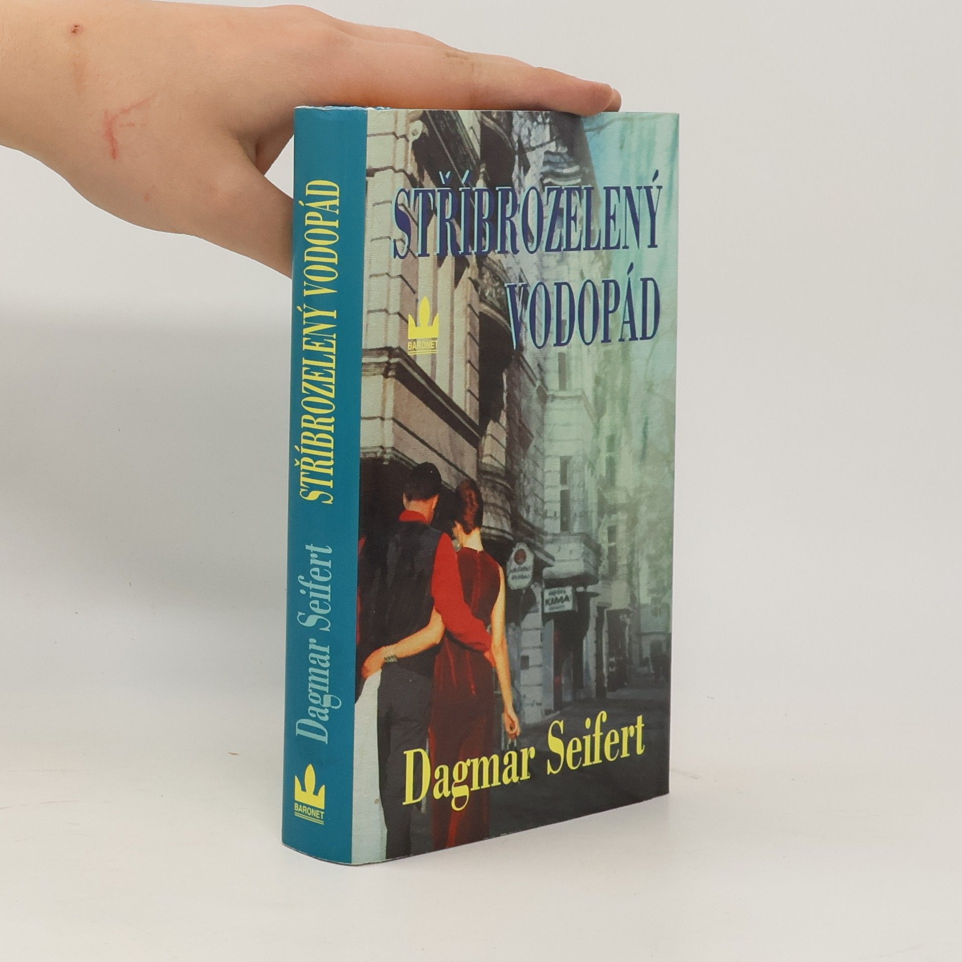Dagmar Seifert Stříbrozelený vodopád