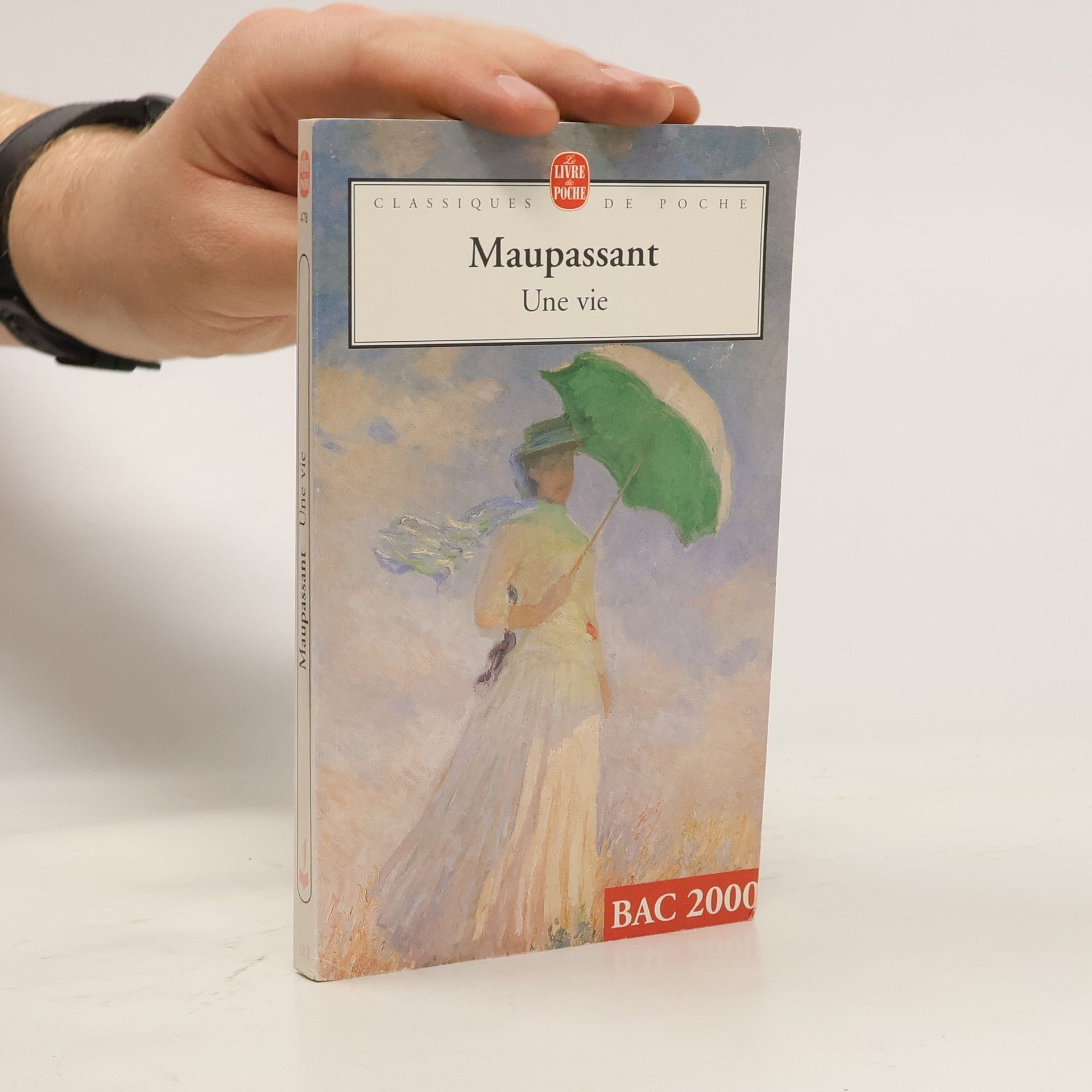 Guy de Maupassant Una vie