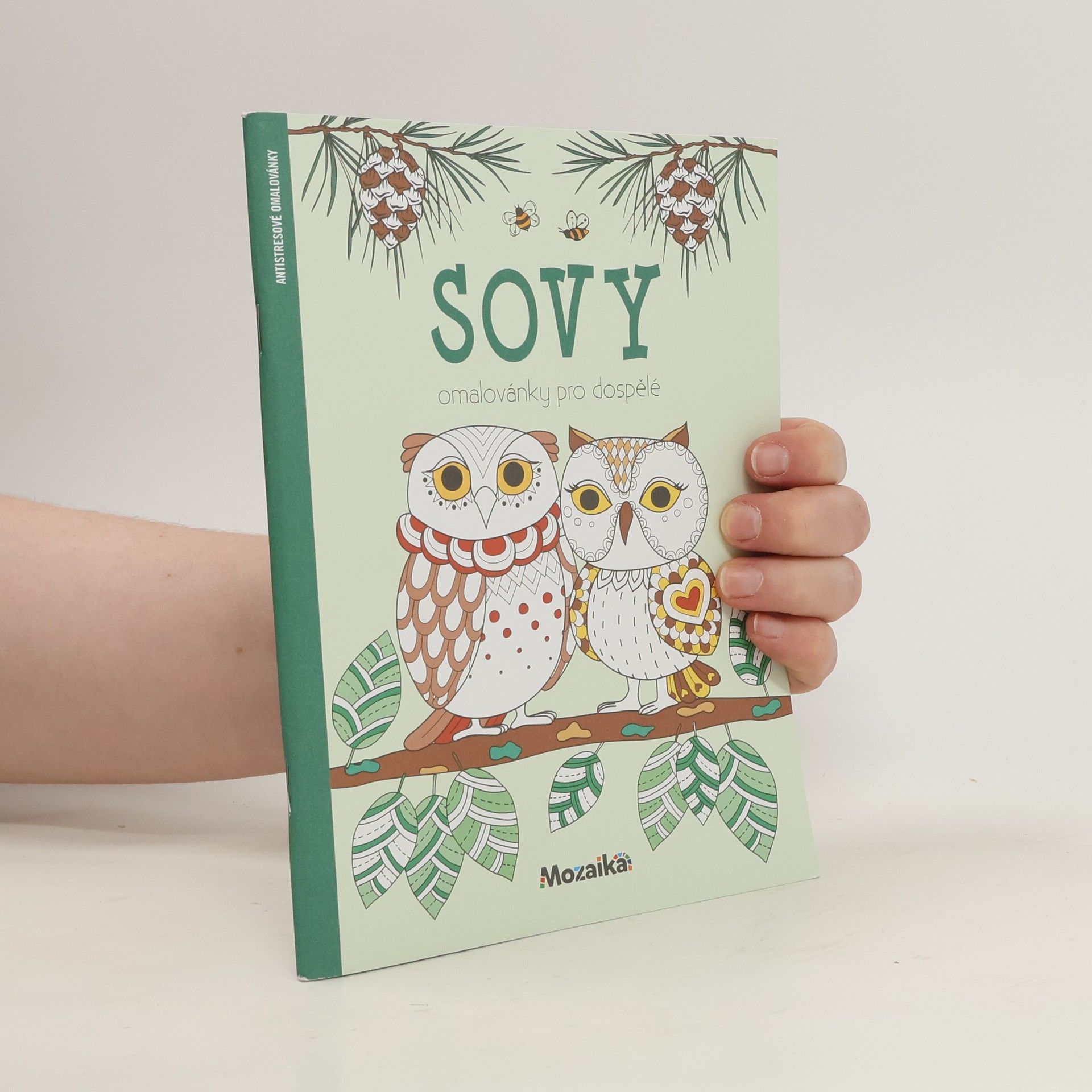 Autorenkollektiv Sovy - omalovánky pro dospělé