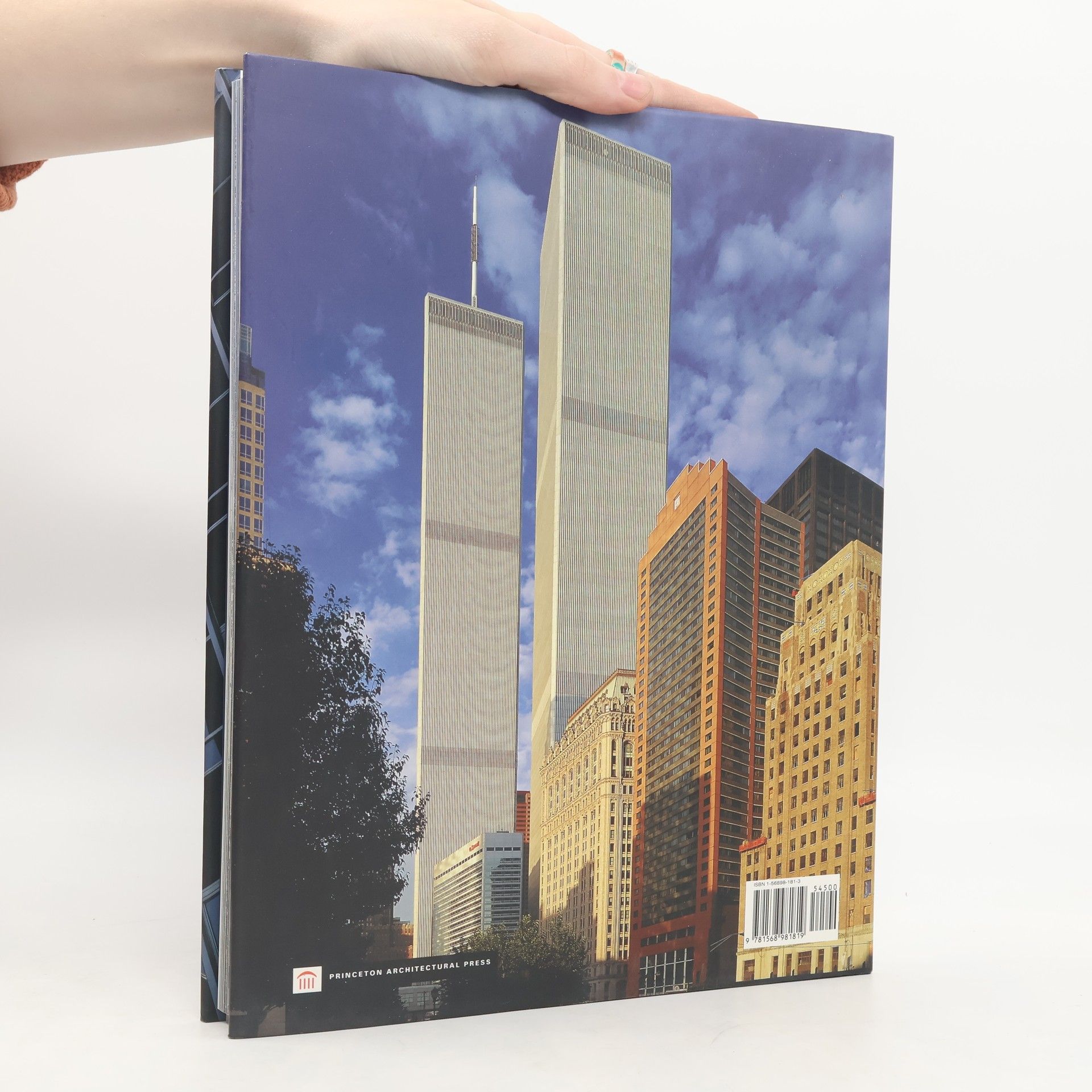 Eric Nash Manhattan Skyscrapers
