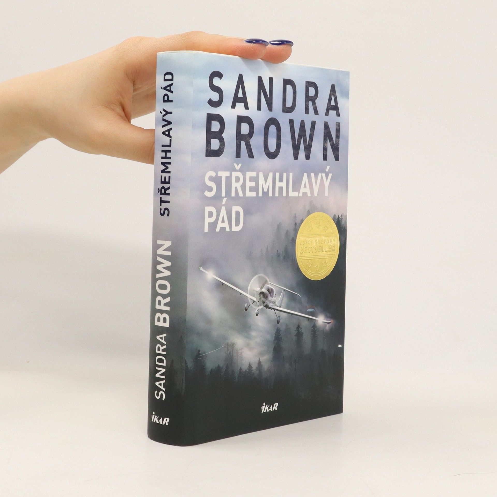 Sandra Brown Střemhlavý pád