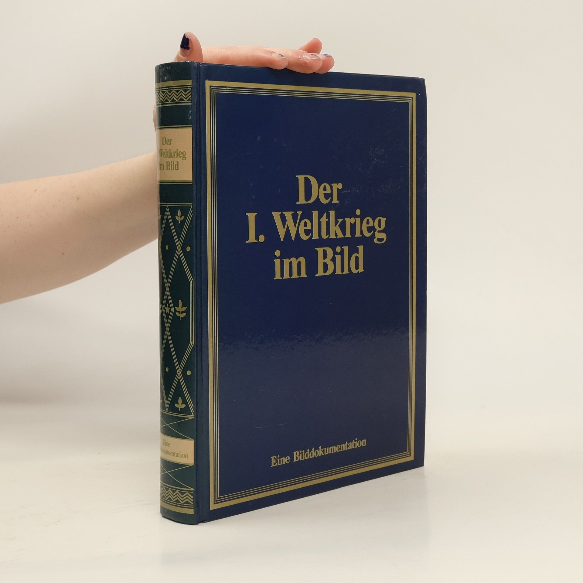 Adolf Paulus Der I. Weltkrieg im Bild