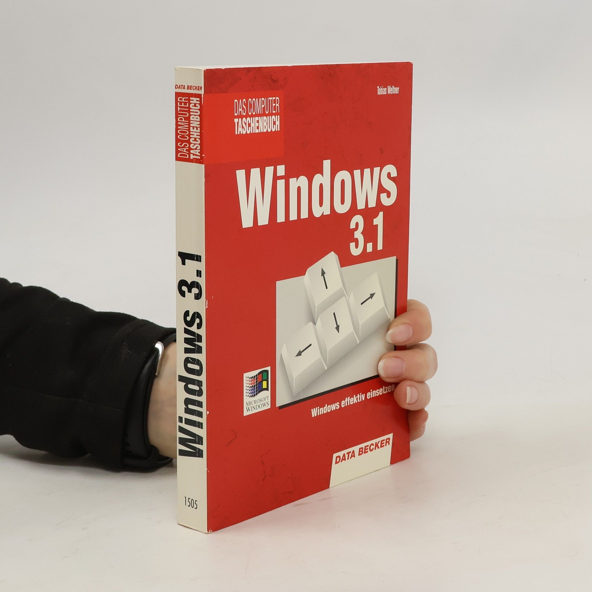 Tobias Weltner Windows 3.1