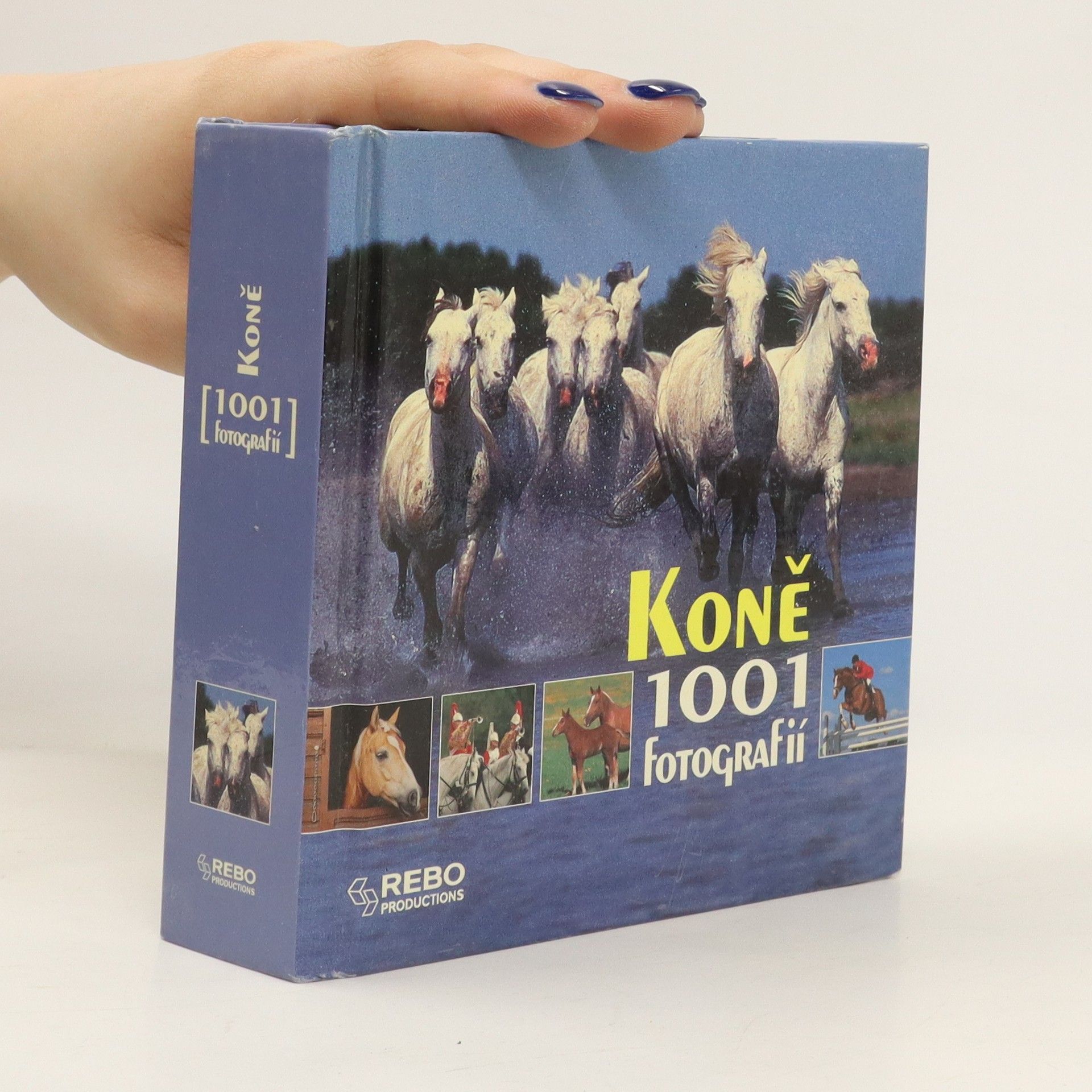 Kolektív autorov Koně. 1001 fotografií