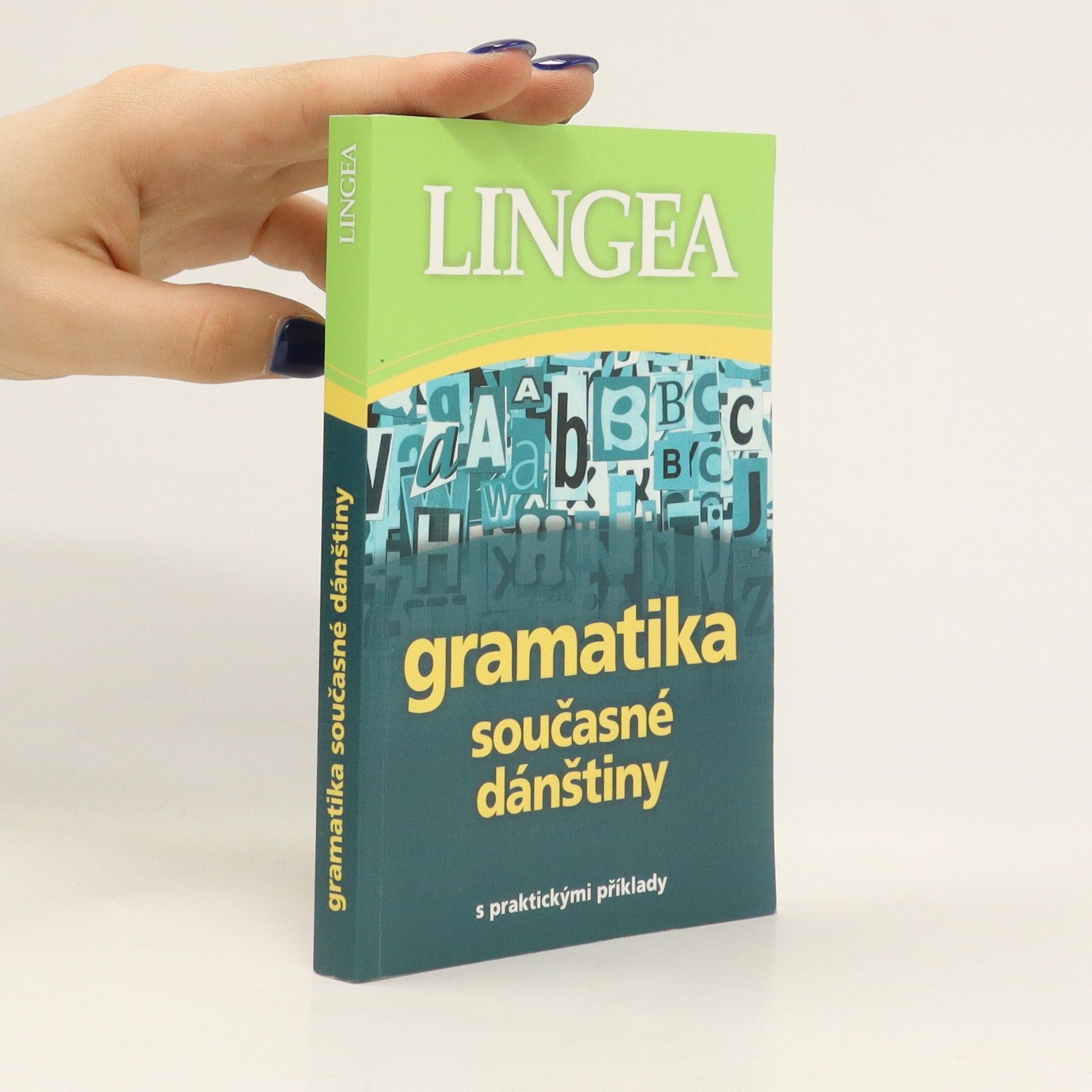 Kolektiv autorů Gramatika současné dánštiny