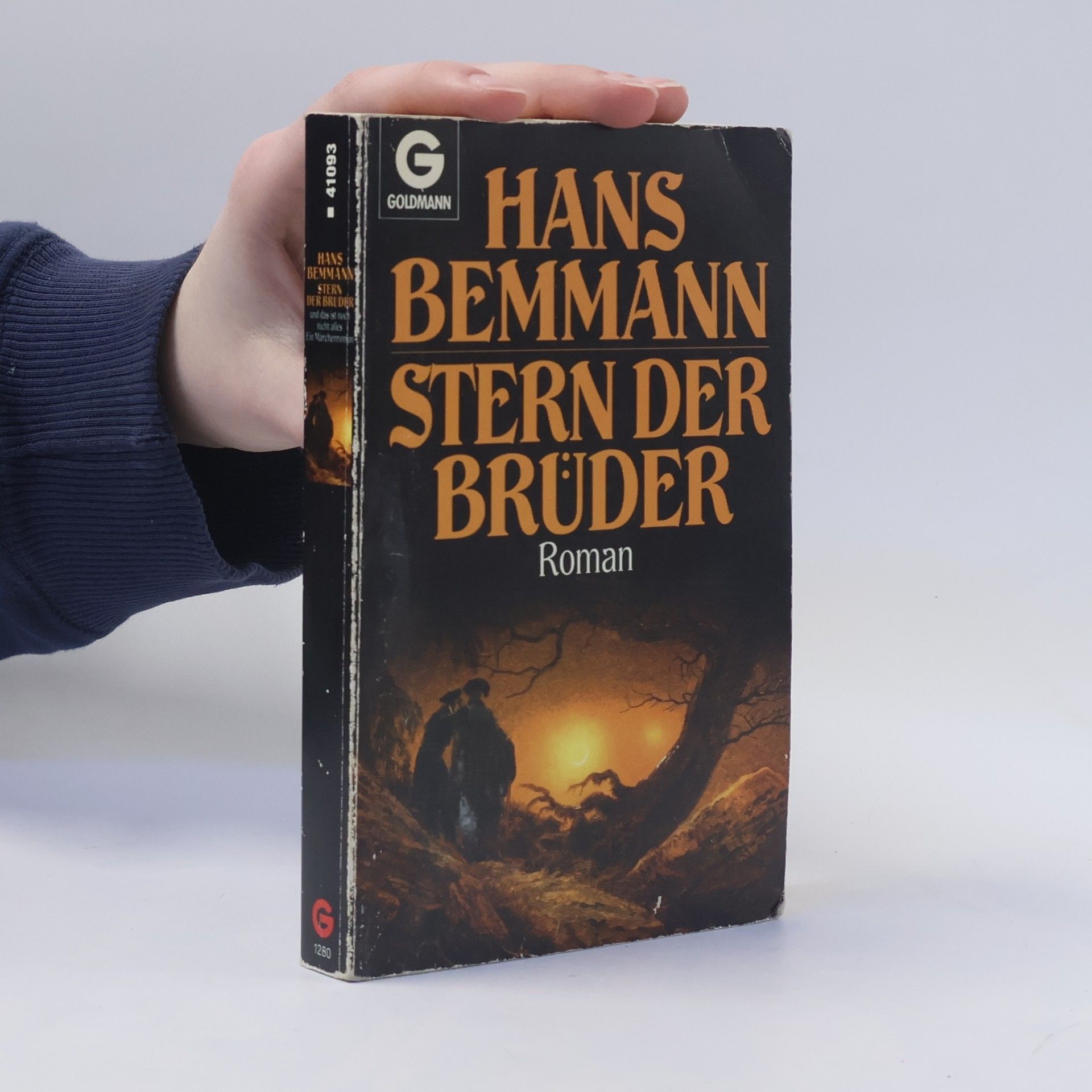 Hans Bemmann Stern der Brüder