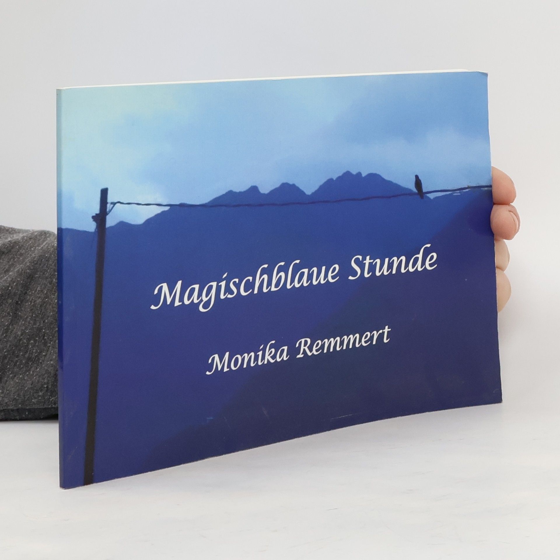 Monika Remmert Magischblaue Stunde