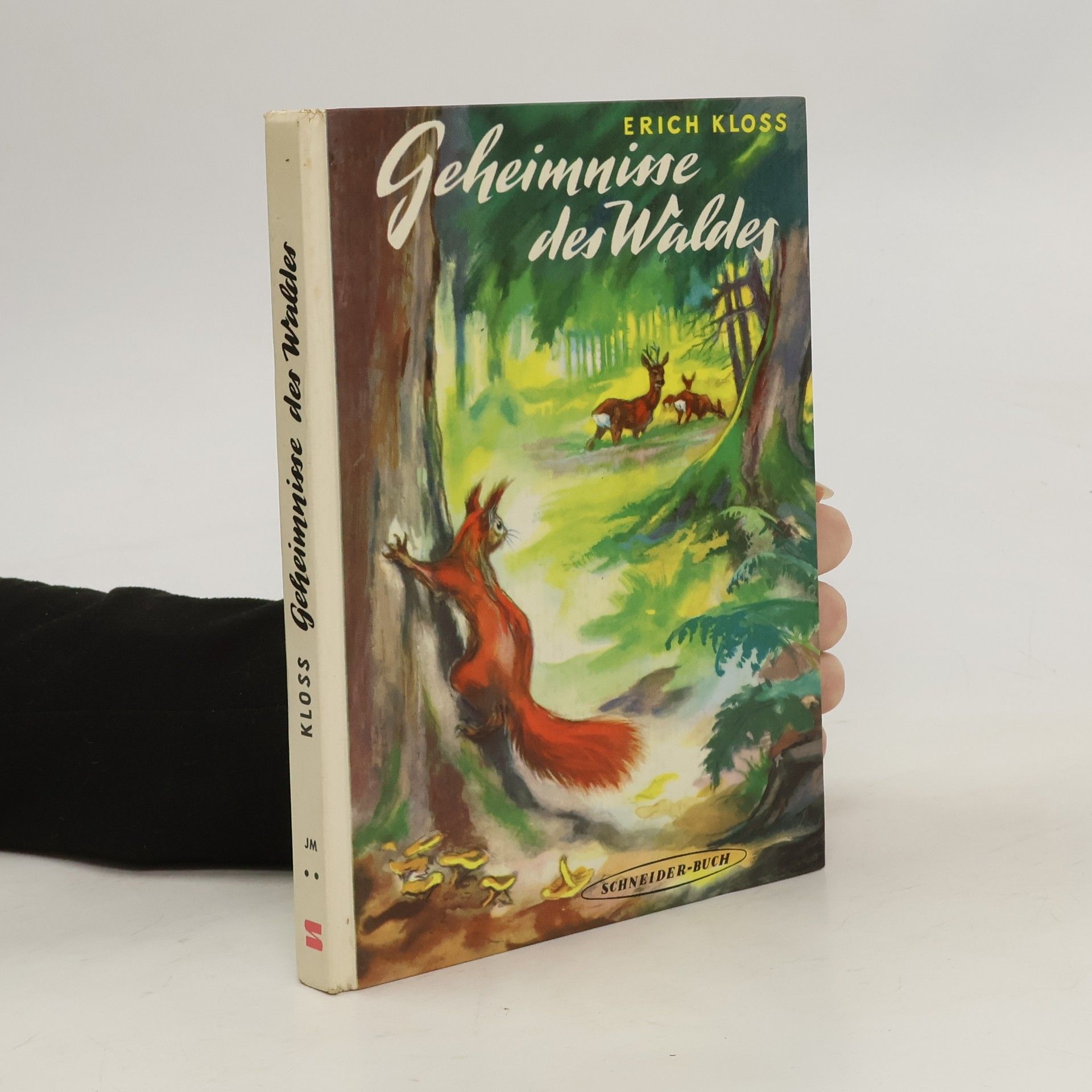 Erich Kloss Geheimnisse des Waldes