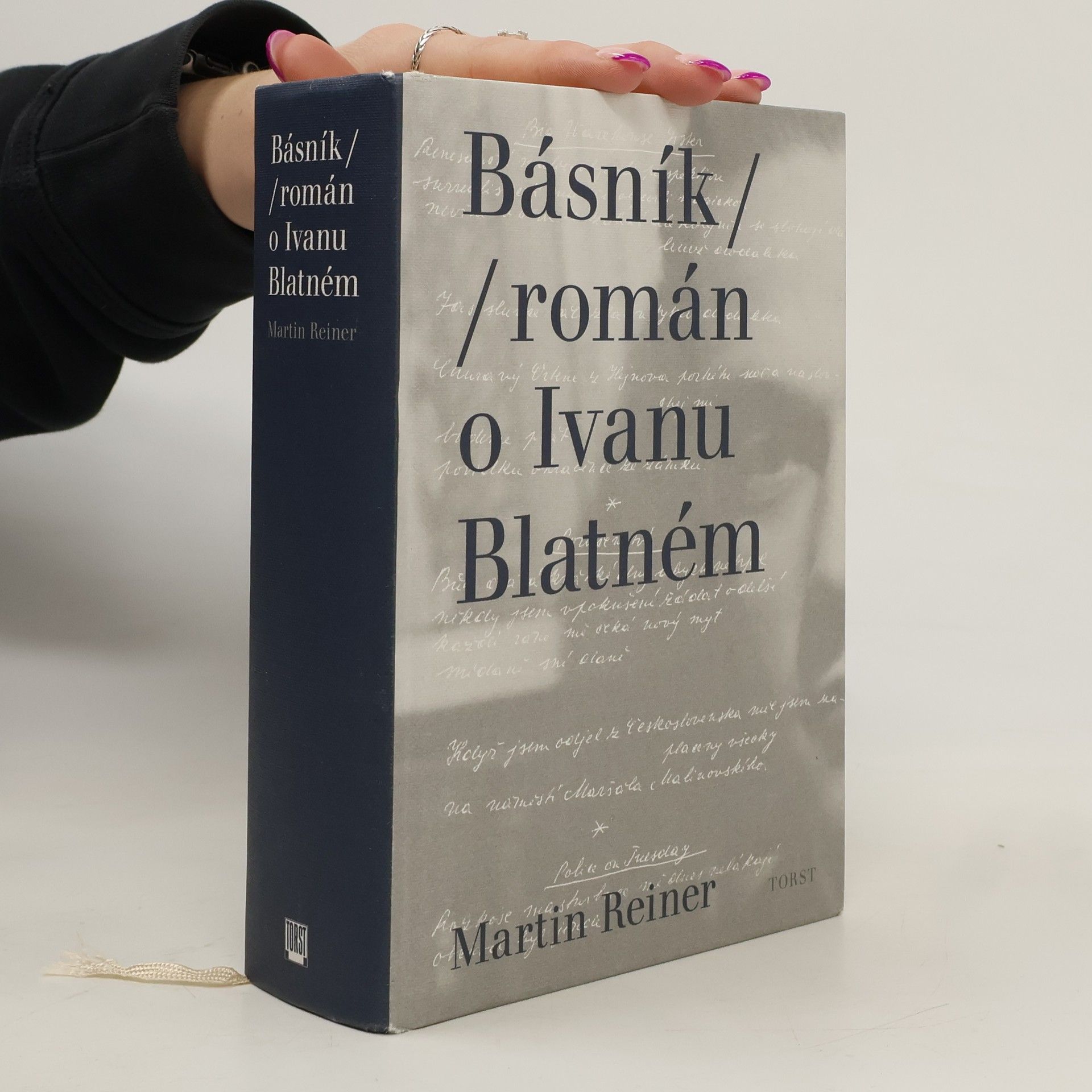 Martin Reiner Básník. Román o Ivanu Blatném