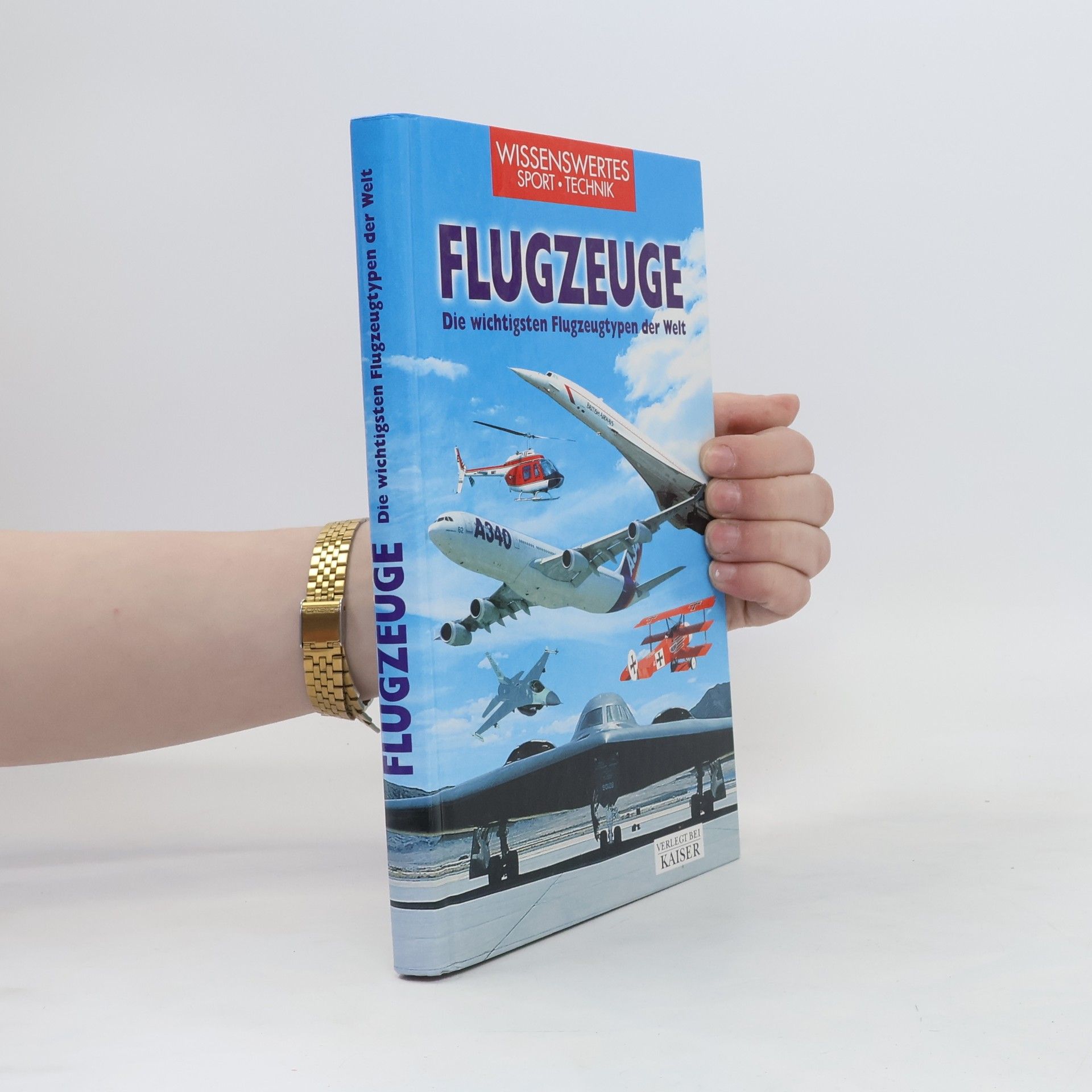 Riccardo Niccoli Flugzeuge
