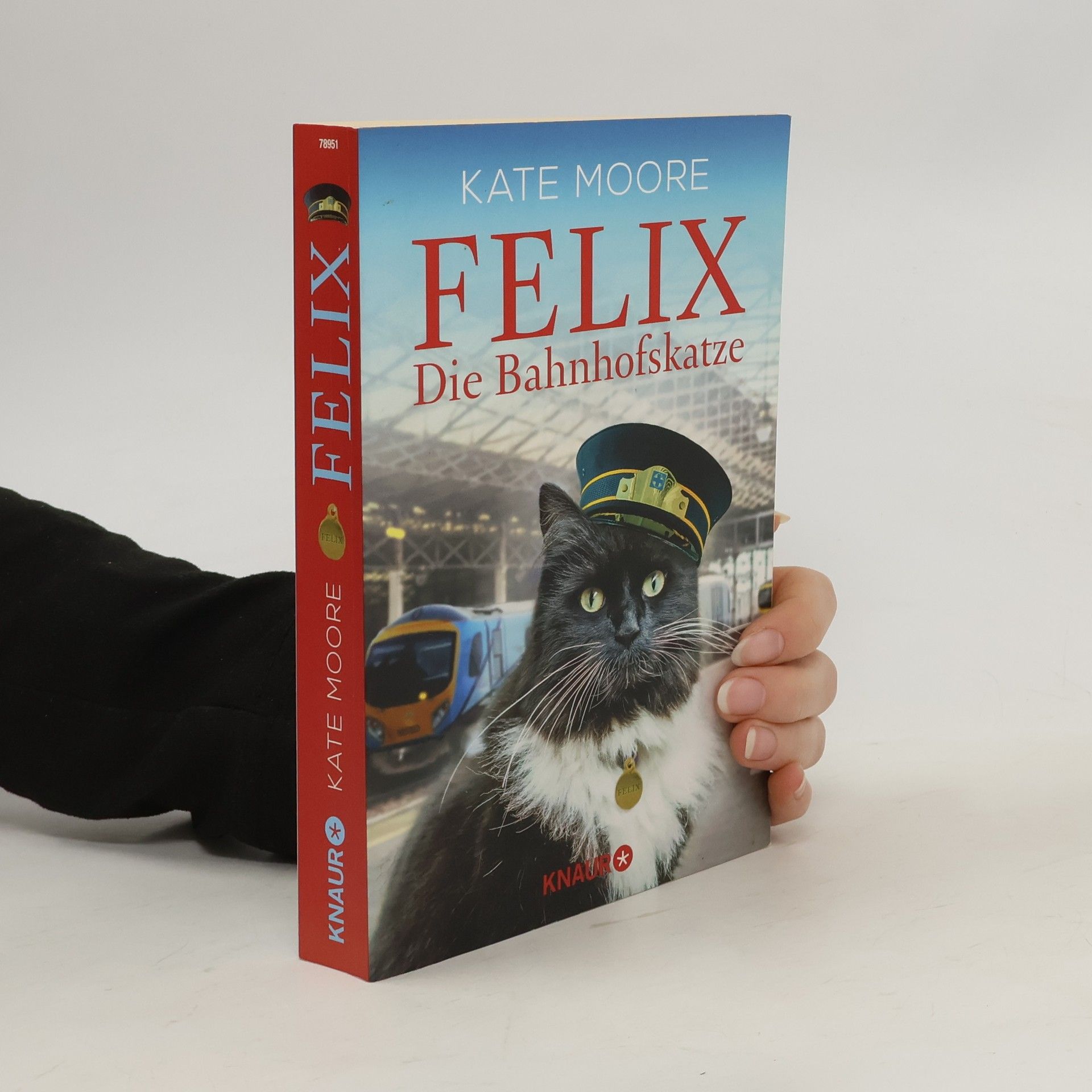 Kate Moore Felix - die Bahnhofskatze
