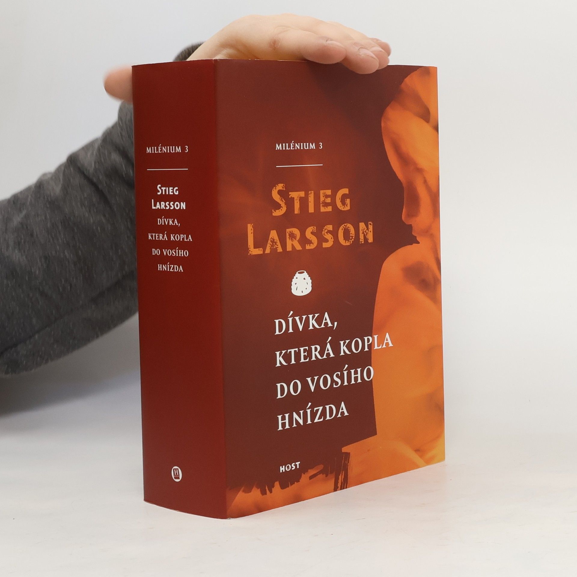 Stieg Larsson Dívka, která kopla do vosího hnízda