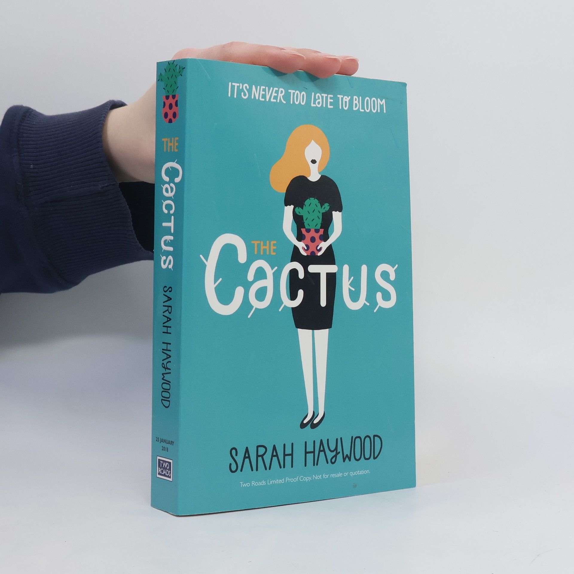 Sarah Haywood Cactus