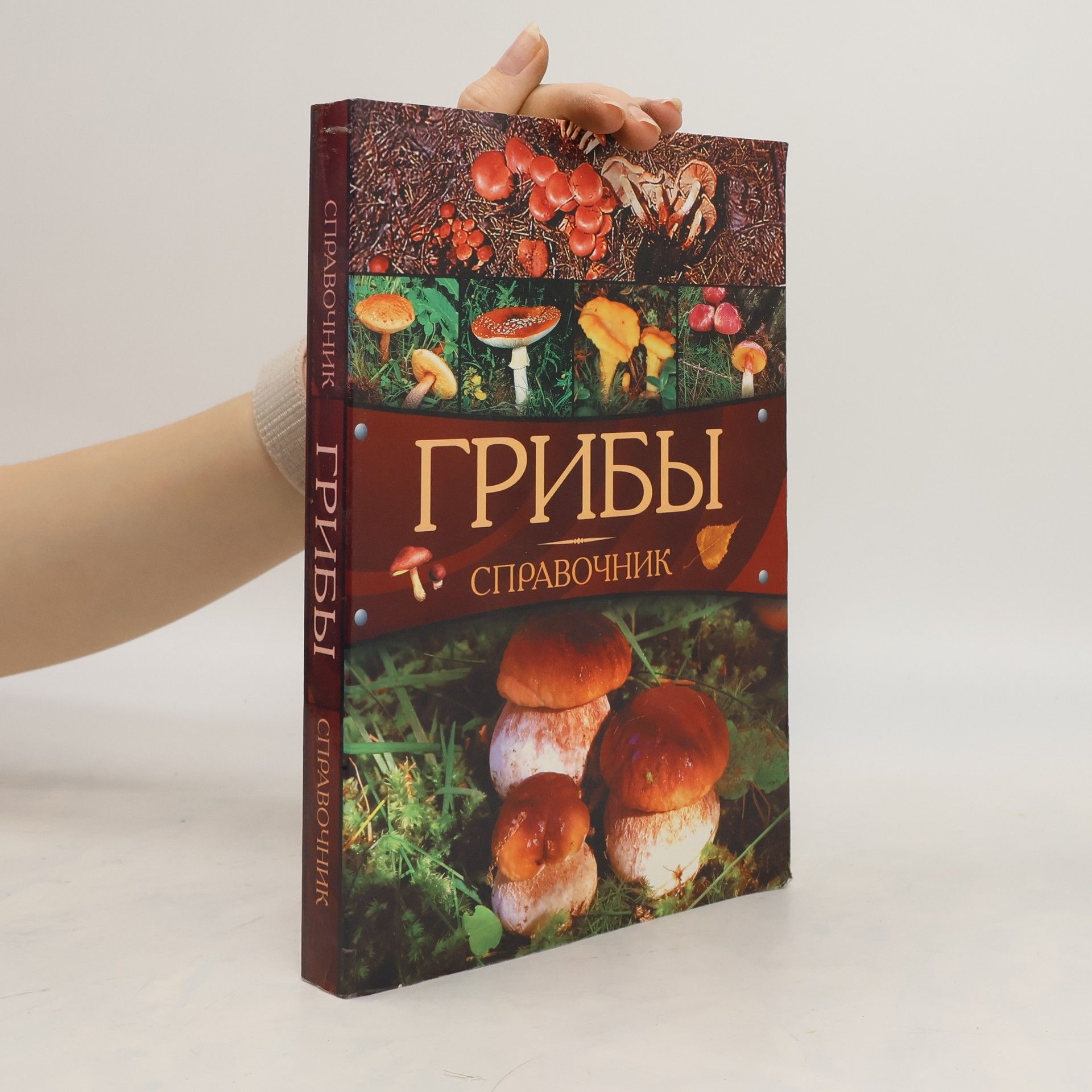 Autorenkollektiv Грибы