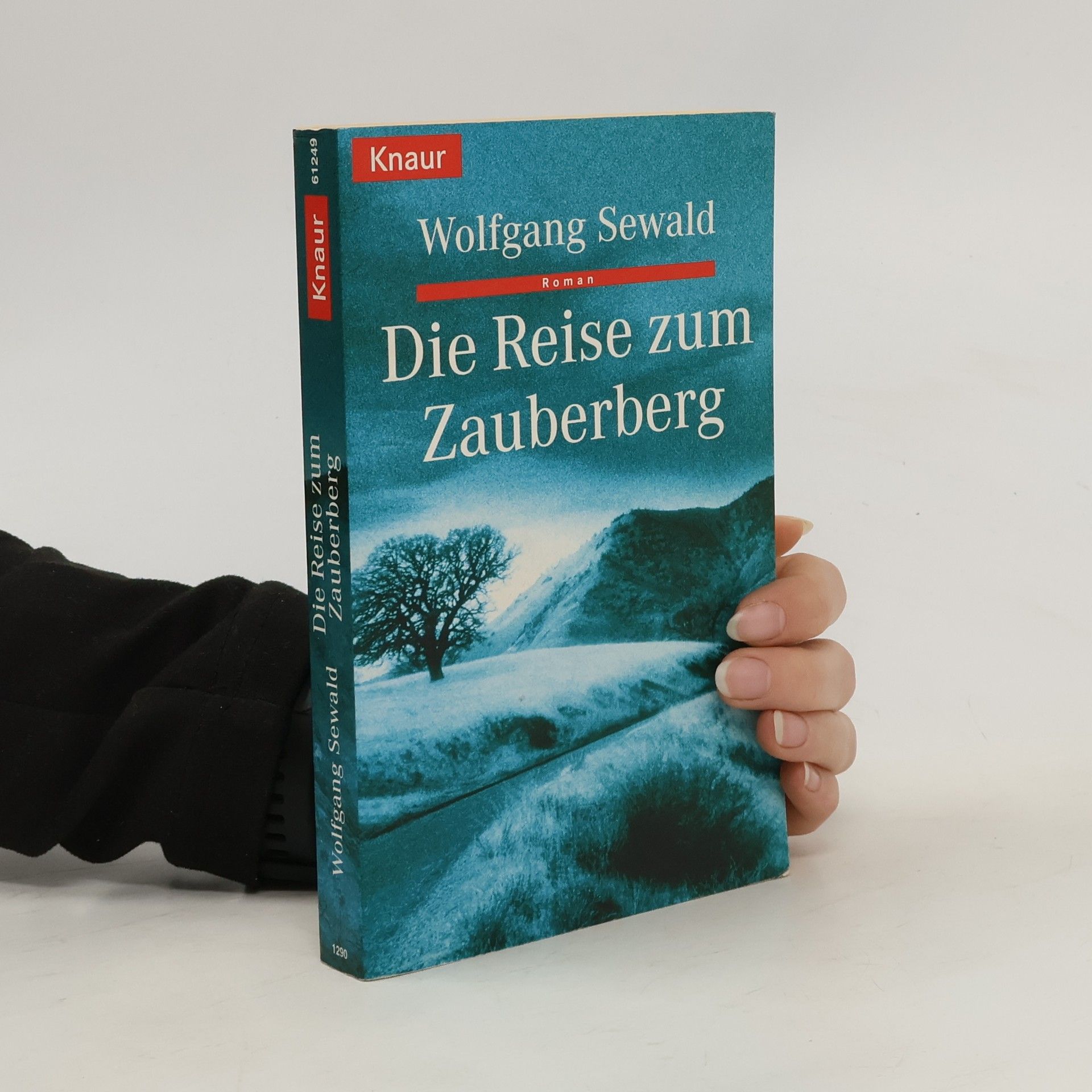 Wolfgang Sewald Die Reise zum Zauberberg