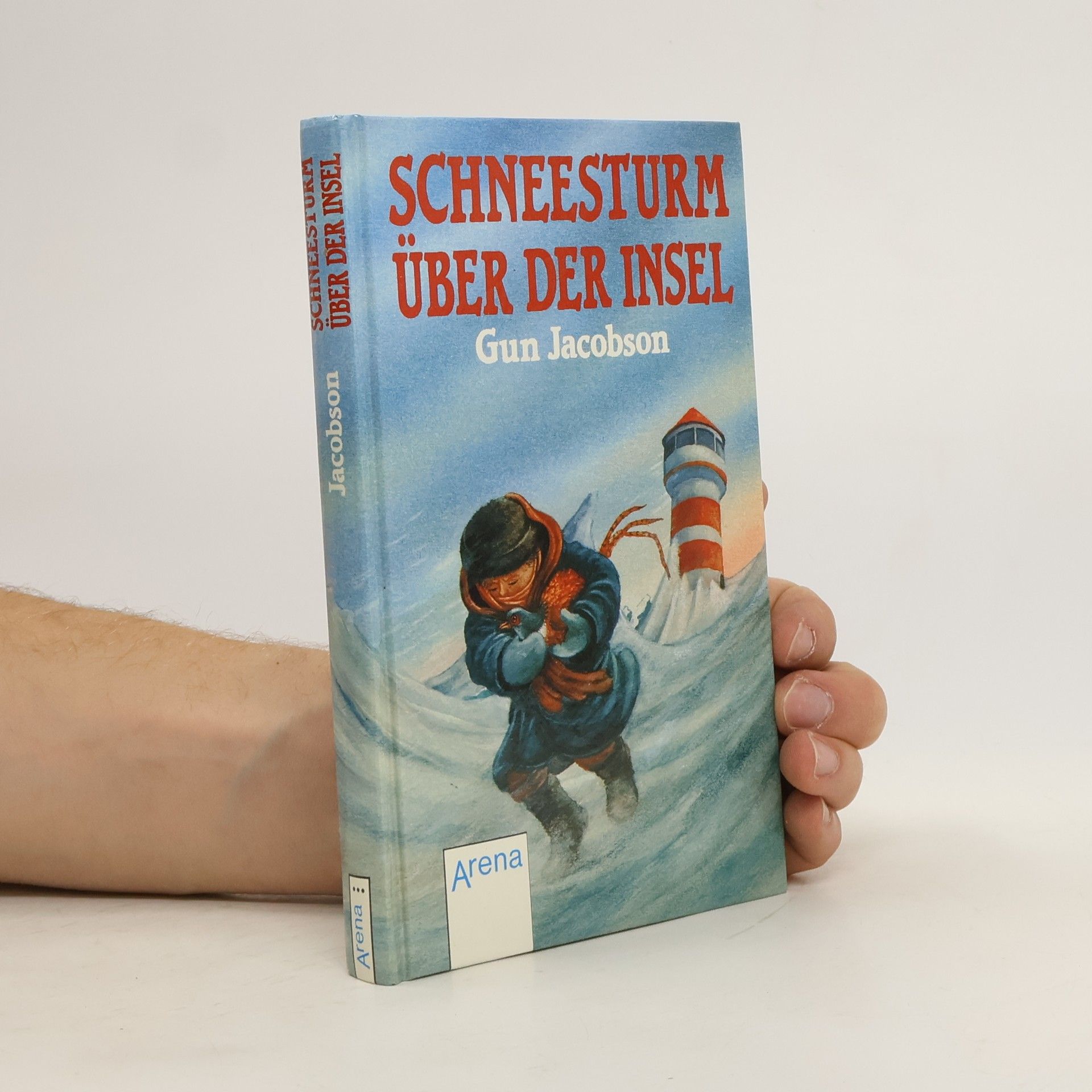 Gun Jacobson Schneesturm über der Insel