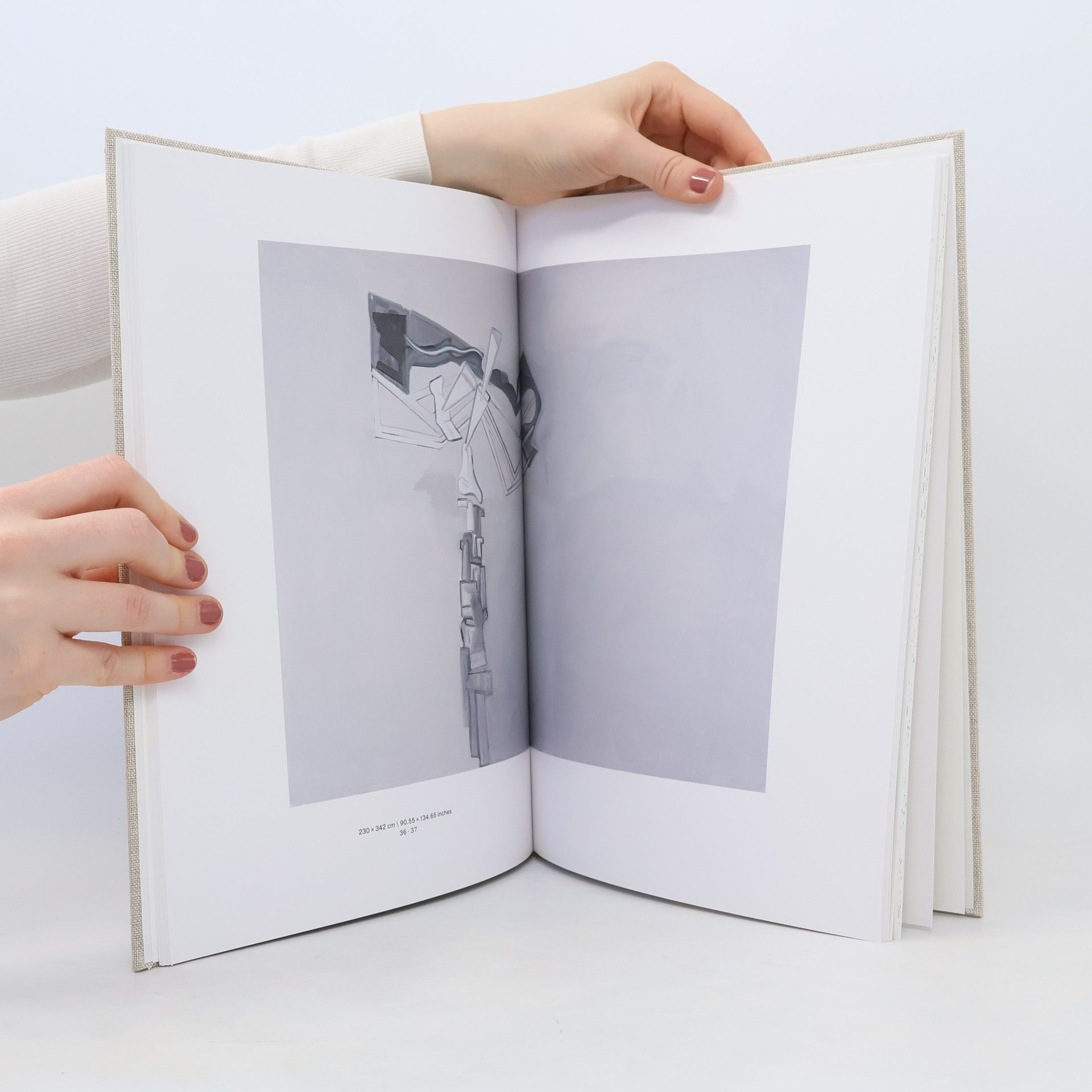 AA.VV. Tobias Pils, Secession