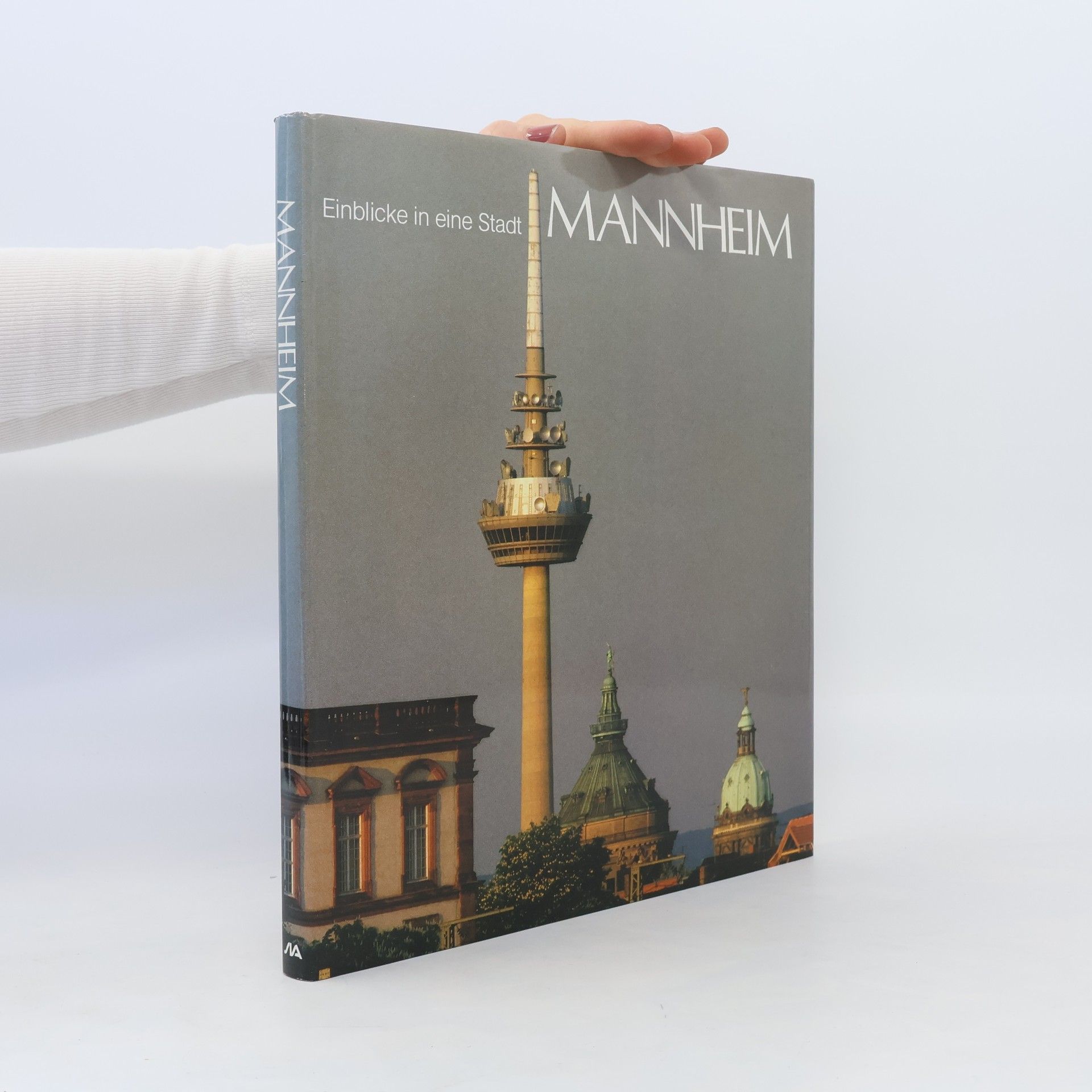 Horst Hamann Mannheim : Einblicke in eine Stadt