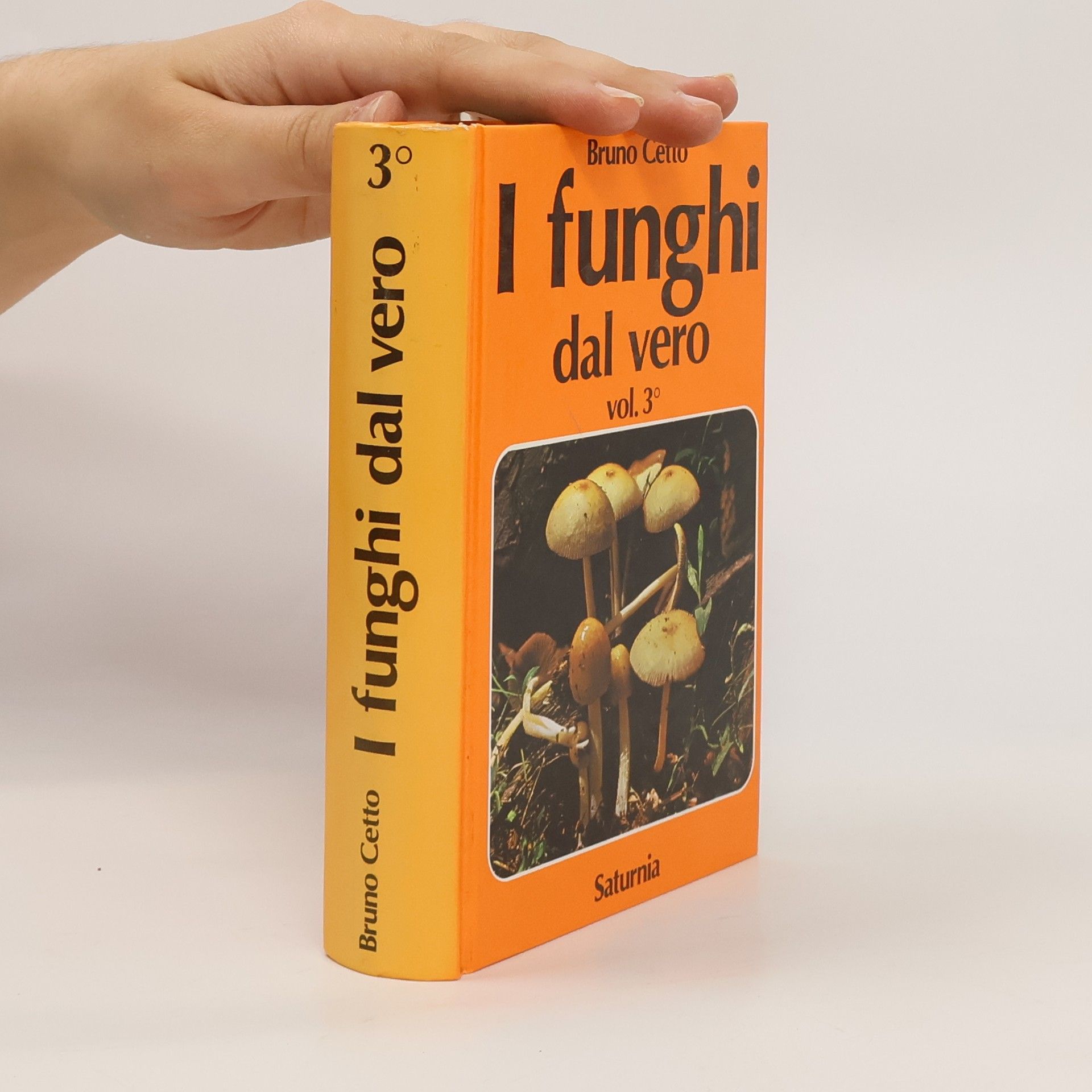 Bruno Cetto I funghi dal vero 3