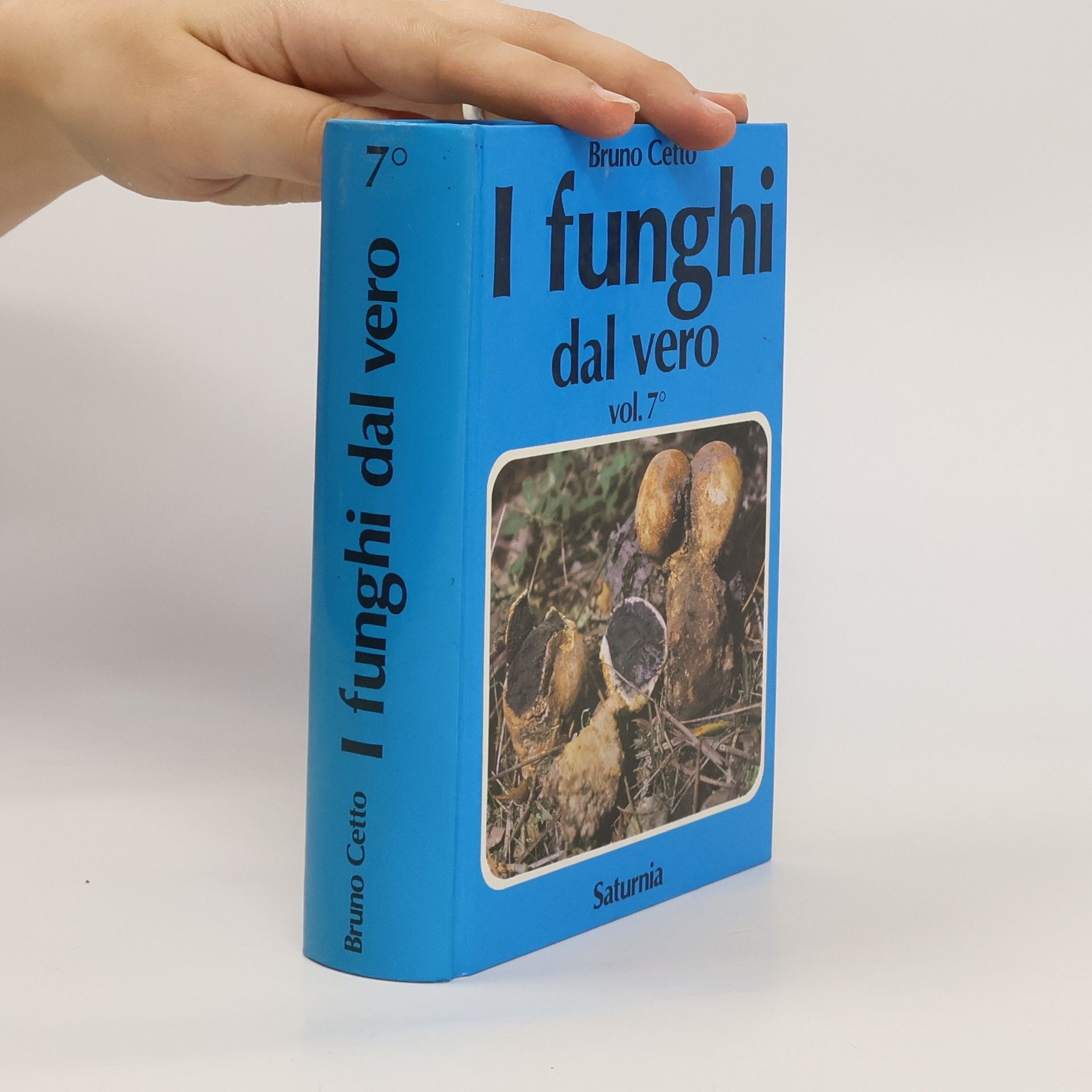 Bruno Cetto I funghi dal vero. 7. vol.