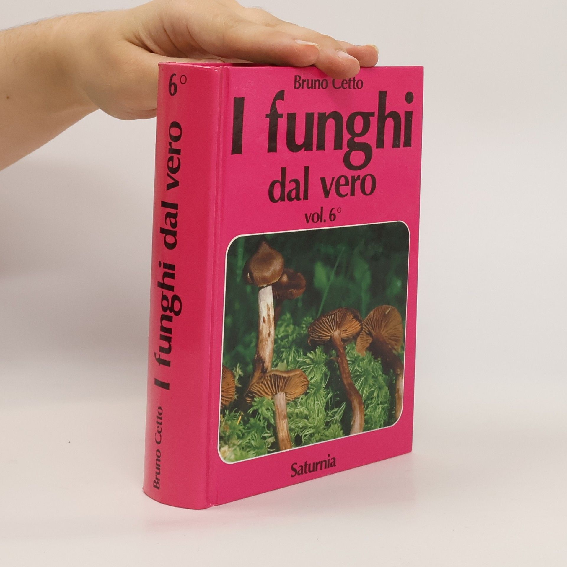 Bruno Cetto I funghi dal vero 6