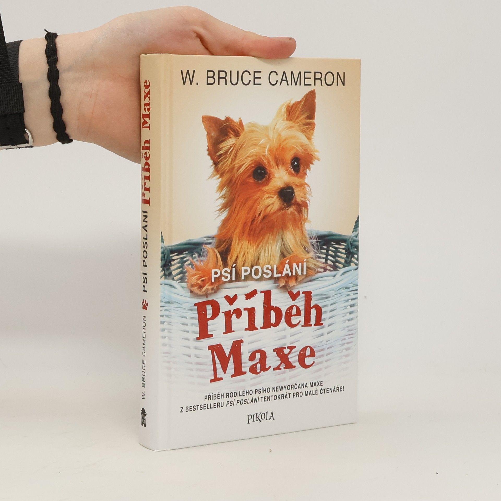 W. Bruce Cameron Psí poslání. Příběh Maxe