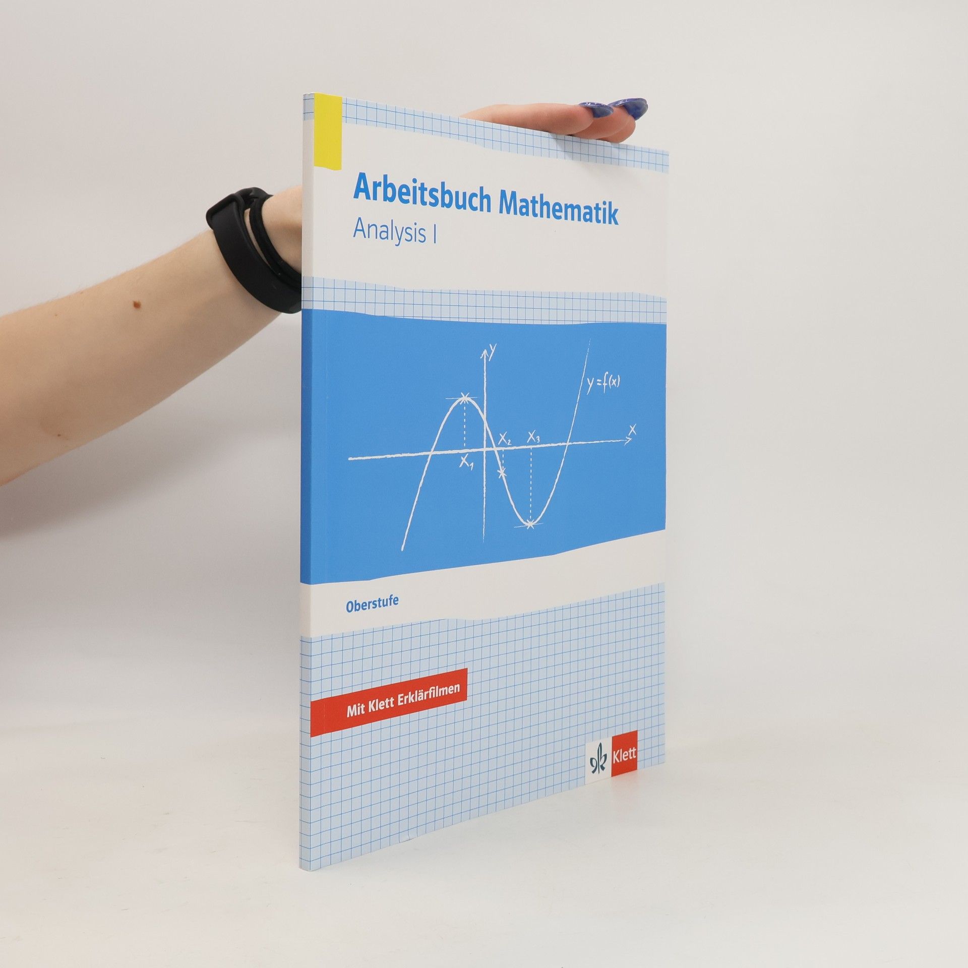 Felix Fähnrich Arbeitsbuch Mathematik - Analysis I