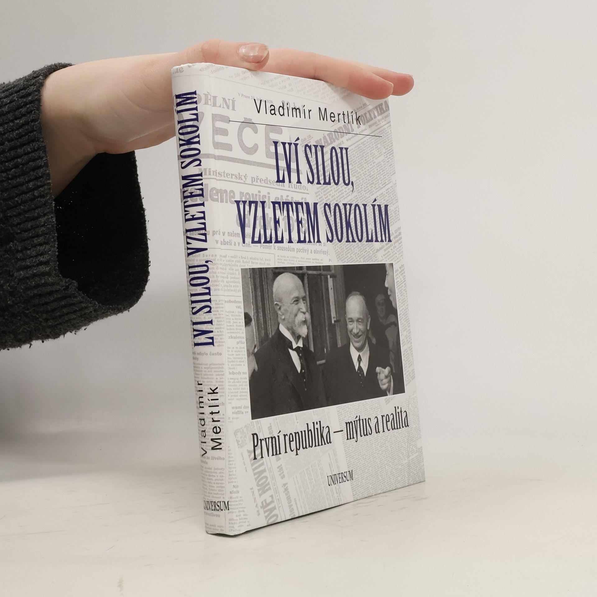 Vladimír Mertlík Lví silou, vzletem sokolím. První republika - mýtus a realita