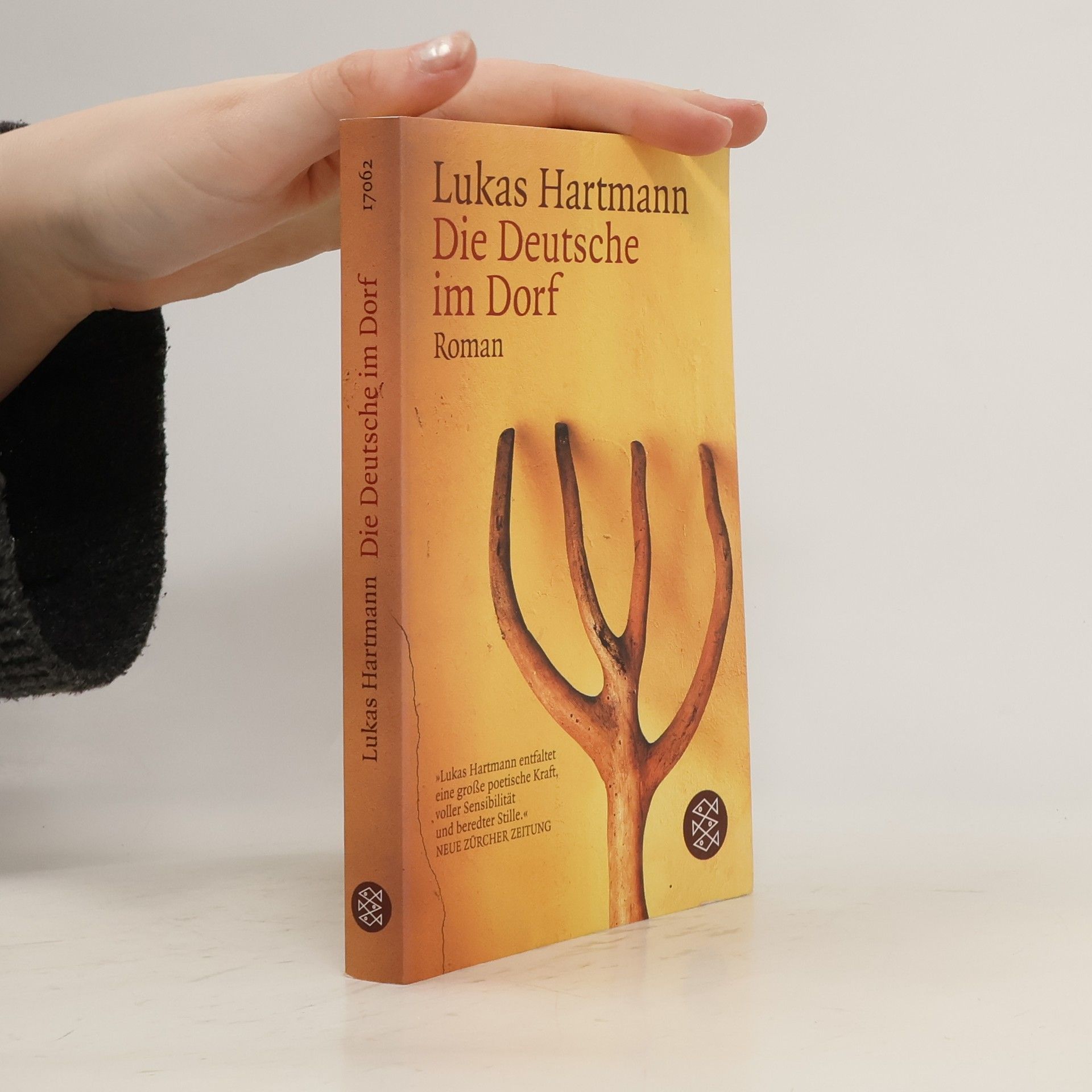 Lukas Hartmann Die Deutsche im Dorf