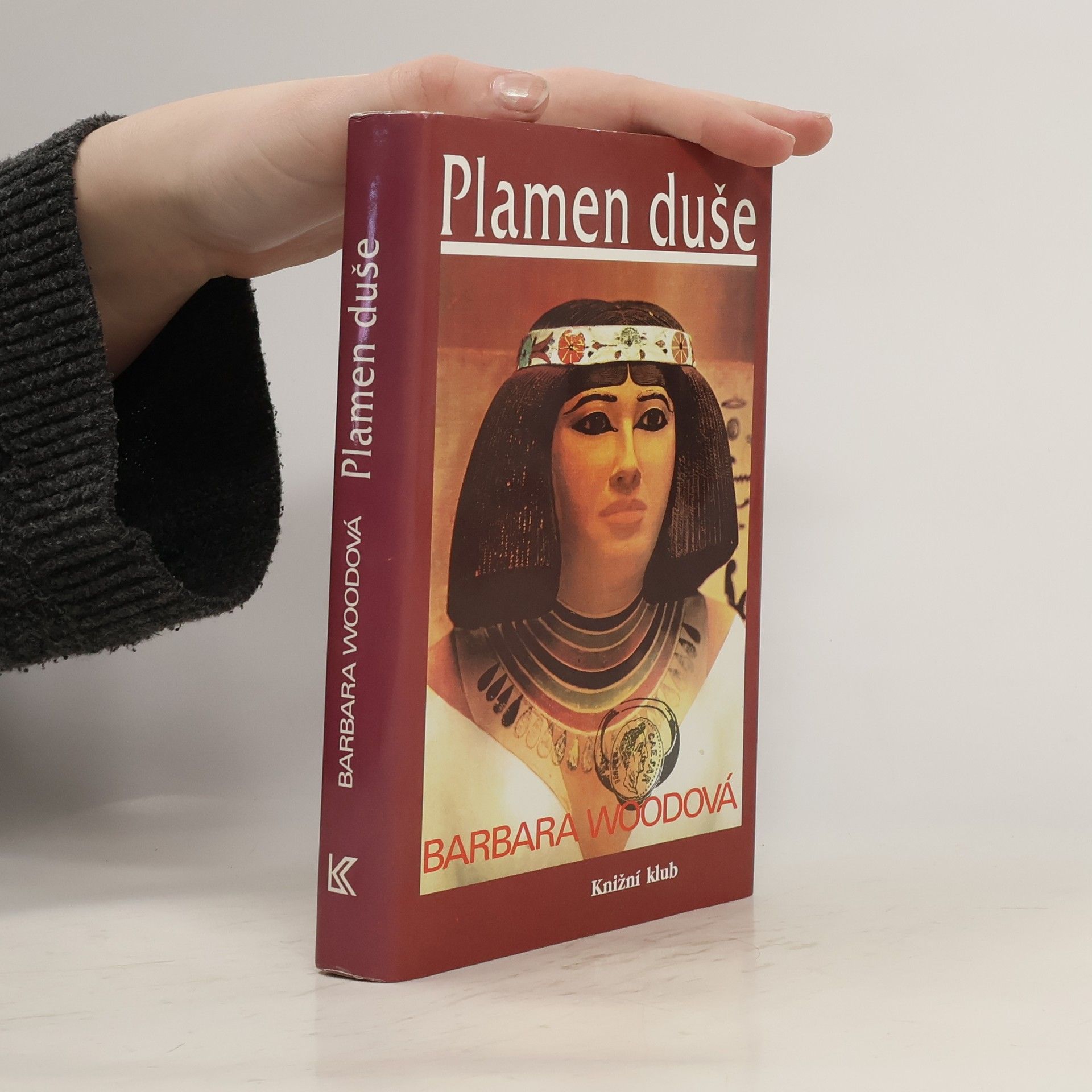 Barbara Wood Plamen duše