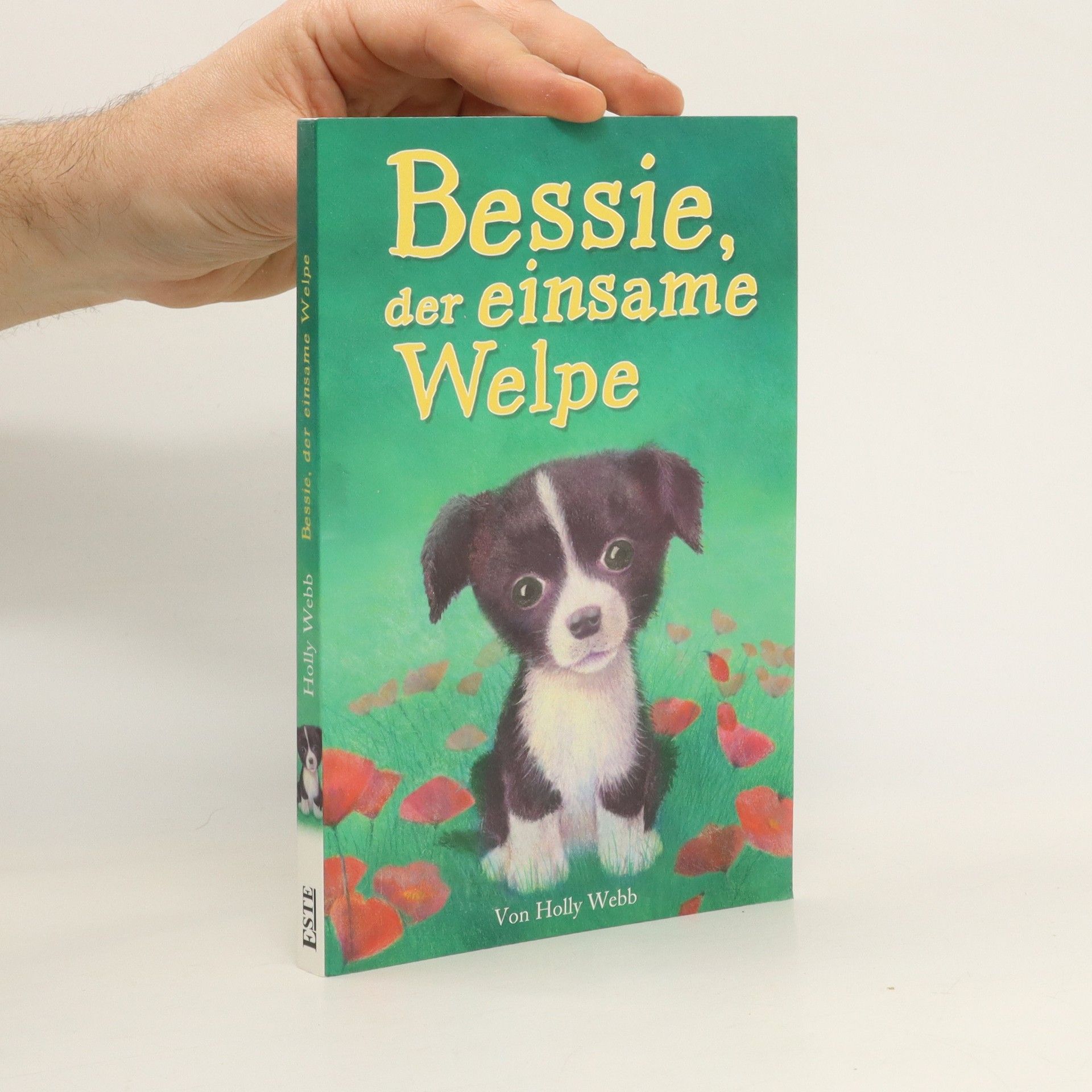 Holly Webb Bessie, der einsame Welpe