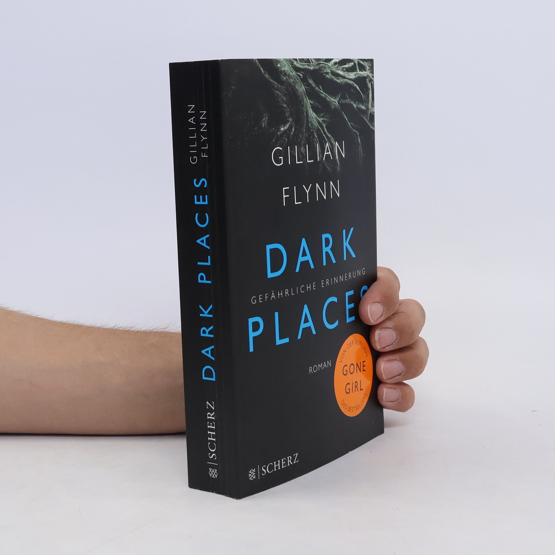Gillian Flynn Dark places