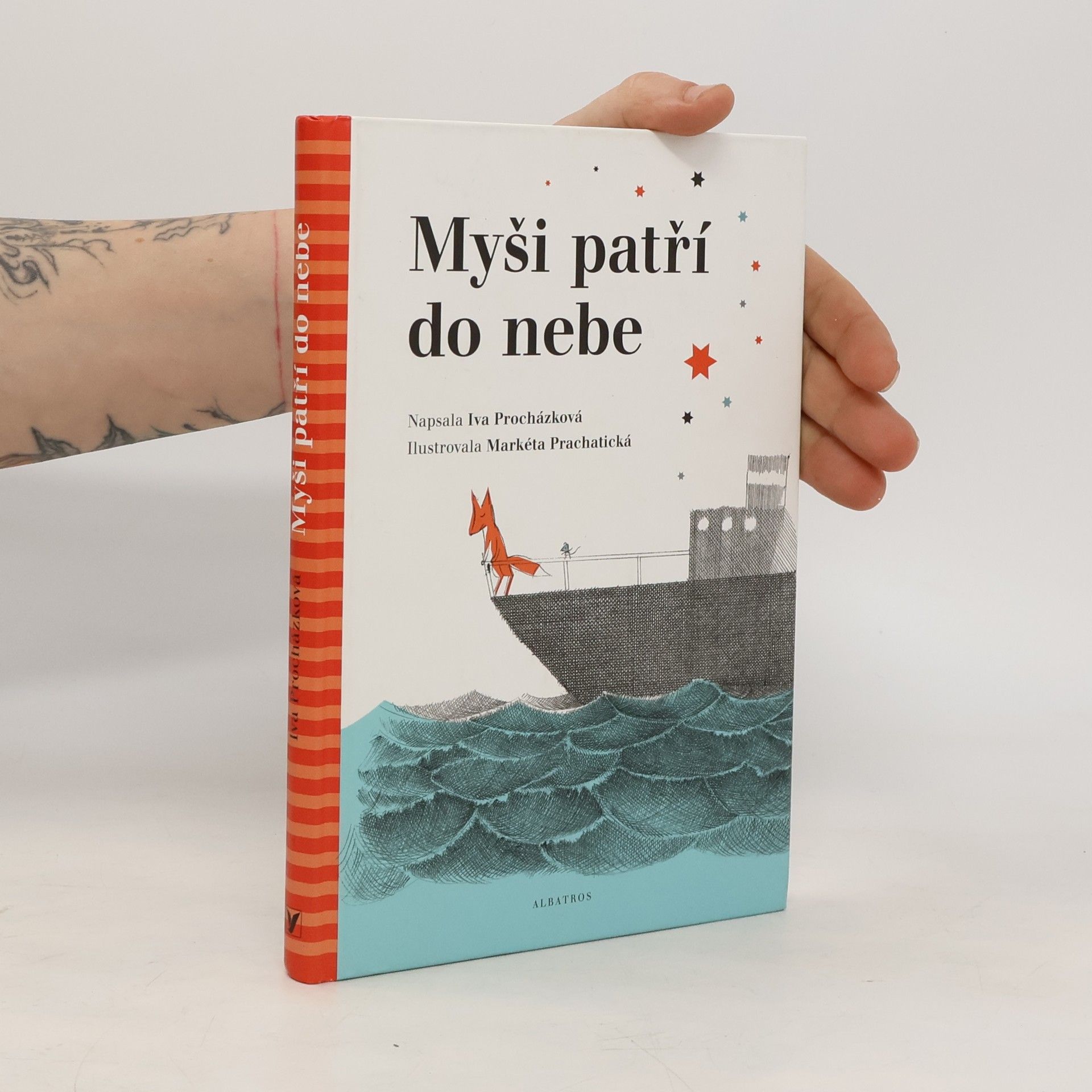 Iva Procházková Myši patří do nebe