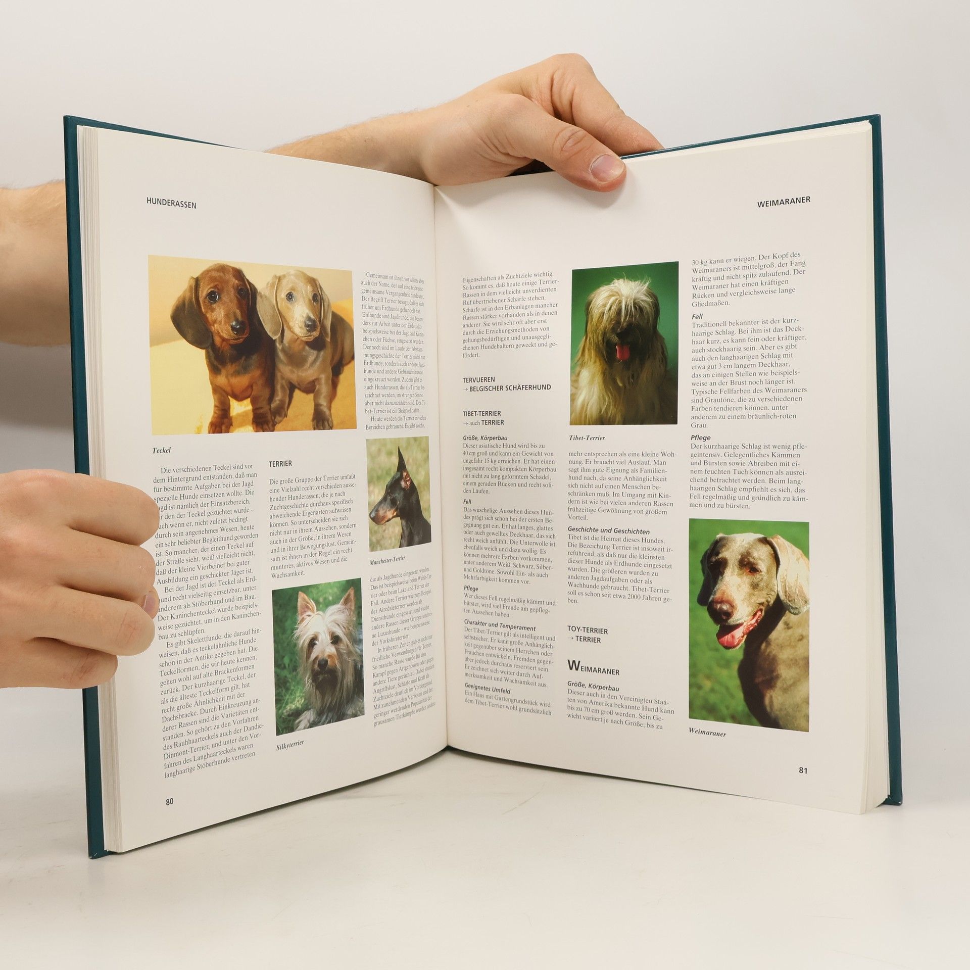 Barbara Willms Hunde. Unsere Treuen Freunde