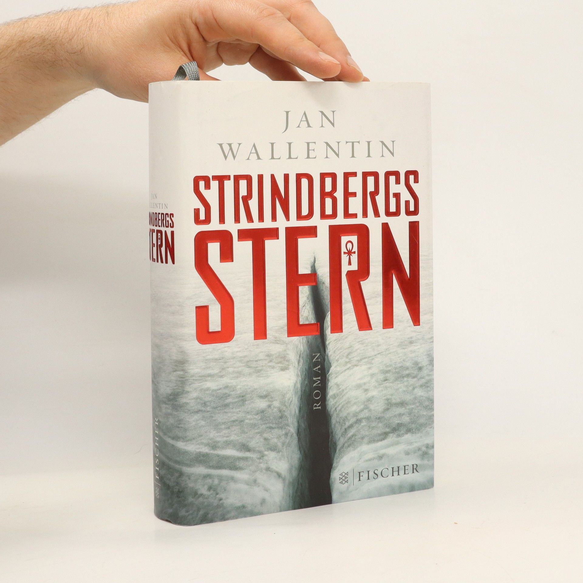 Jan Wallentin Strindbergs Stern