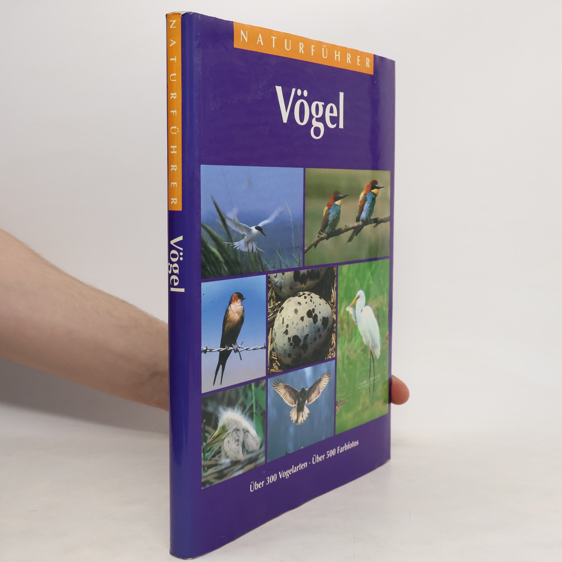 Various authors Vögel