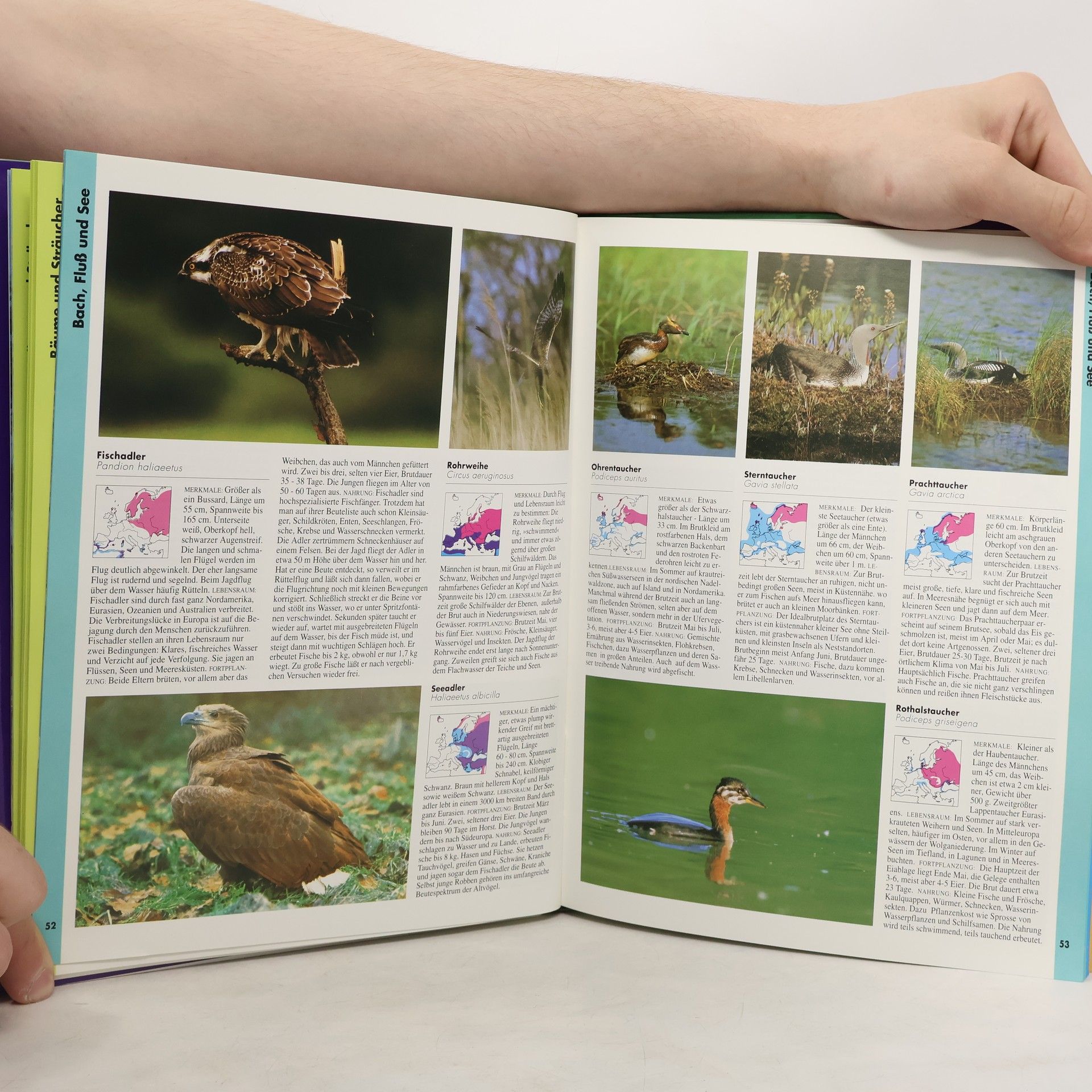 Various authors Vögel